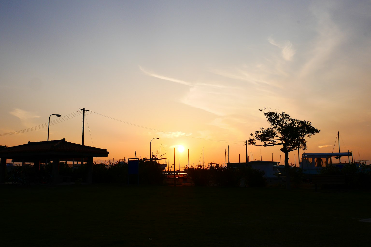 Paisaje sereno al atardecer con barcos y árboles en silueta