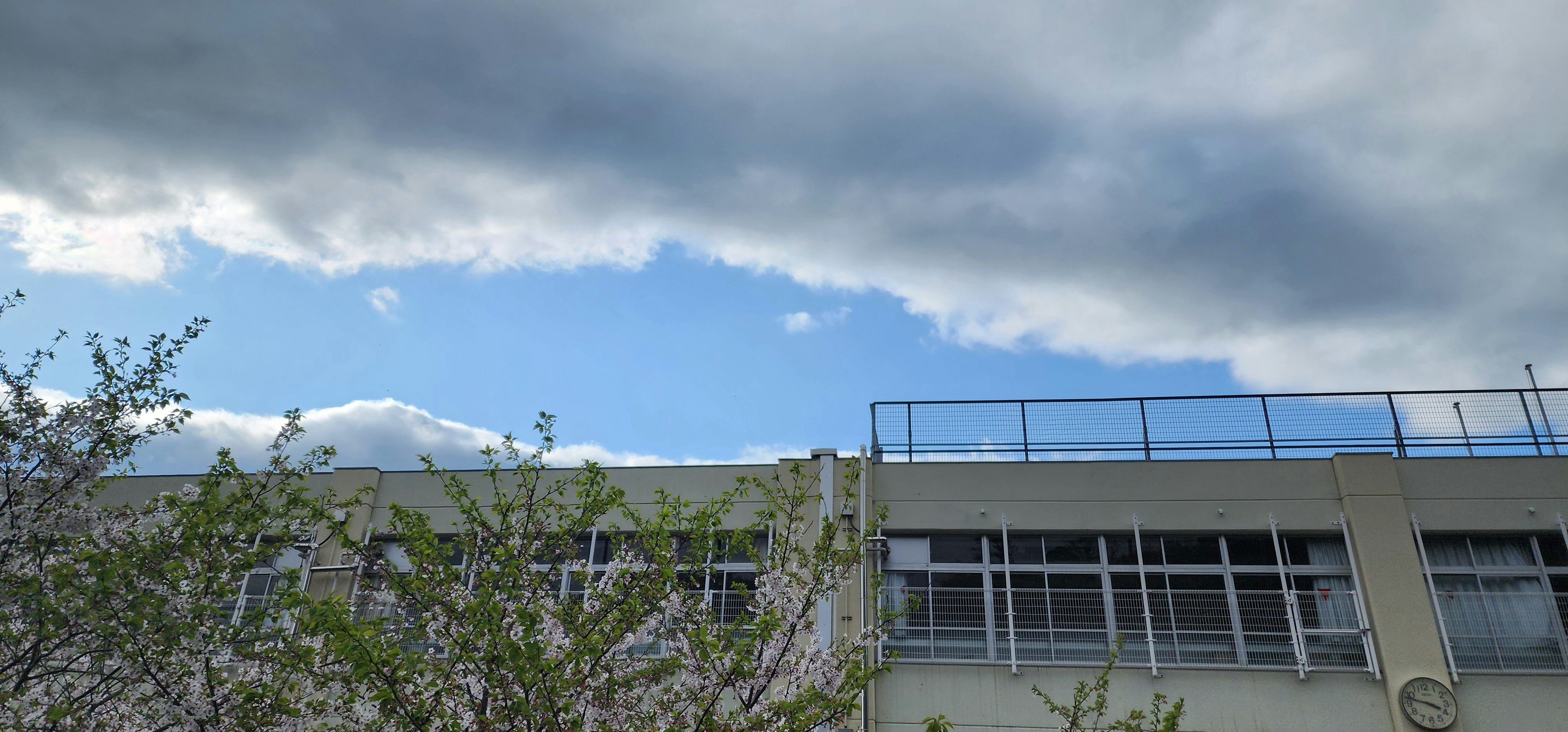 雨上がりの空と校舎の屋上、桜の花びらが舞う頃の風景