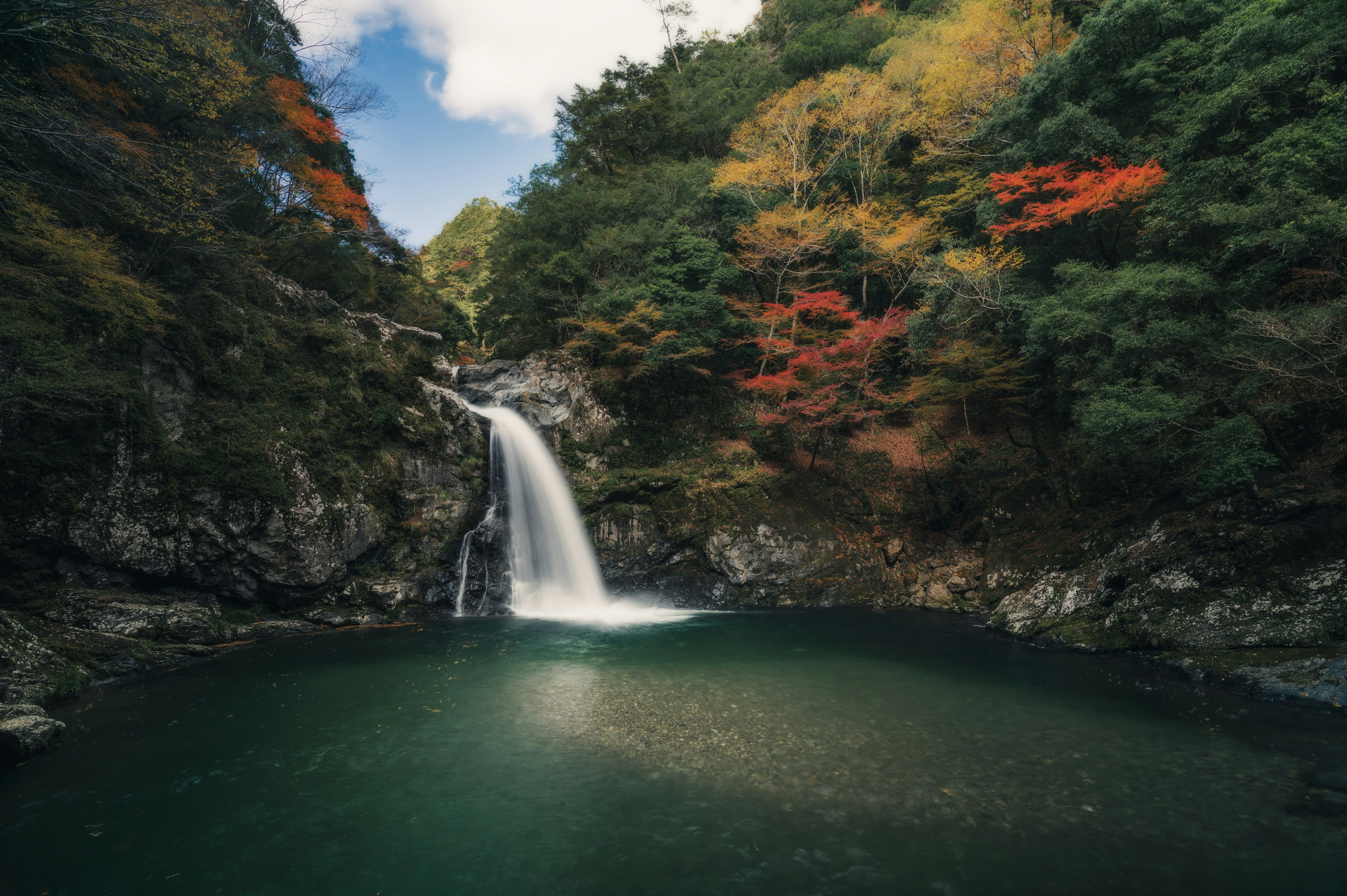 air terjun di lembah berhutan dengan kolam yang tenang