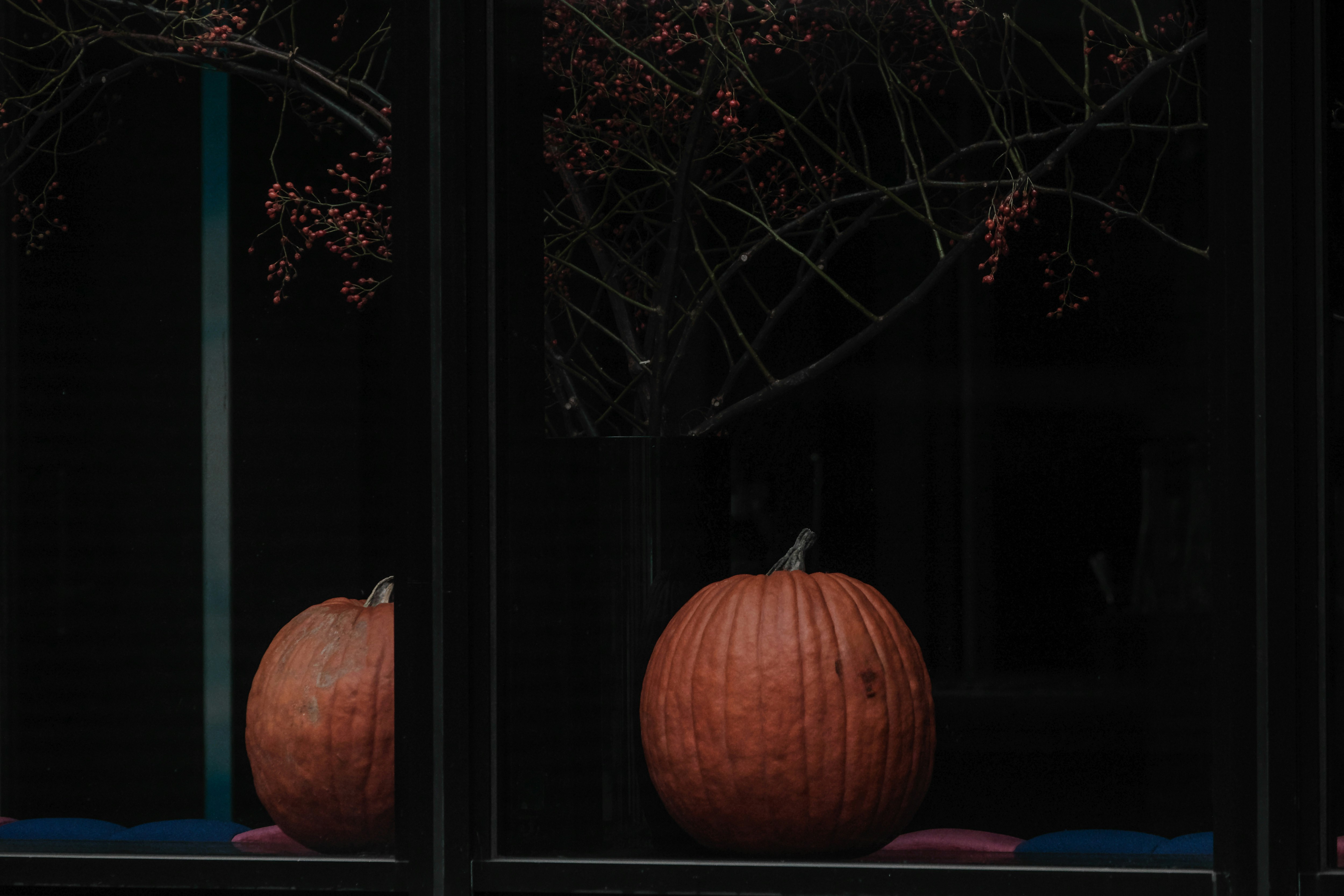 ハロウィンのカボチャが並ぶ窓辺の夜景
