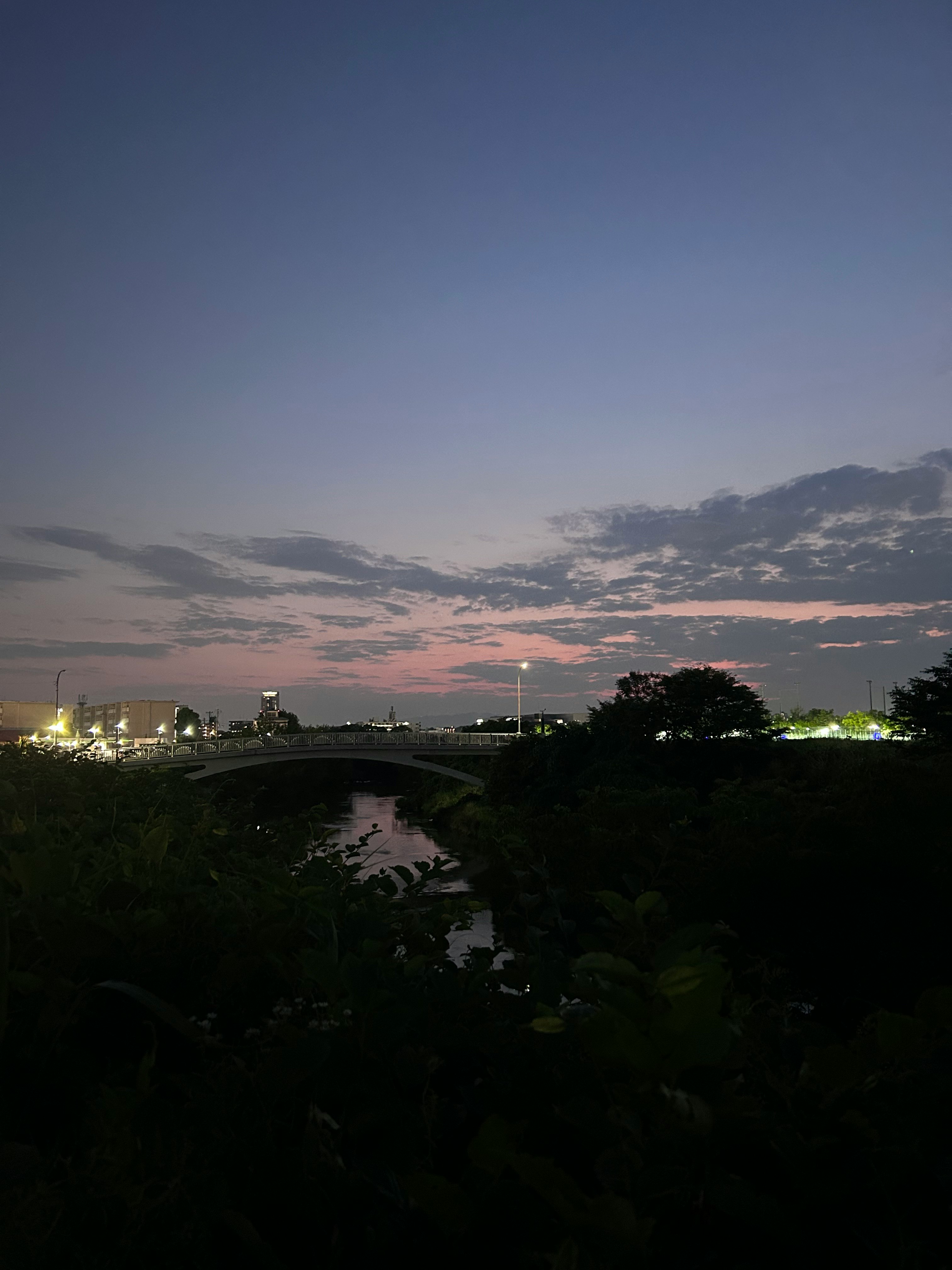 夕暮れの川沿いの夜景と街の灯り