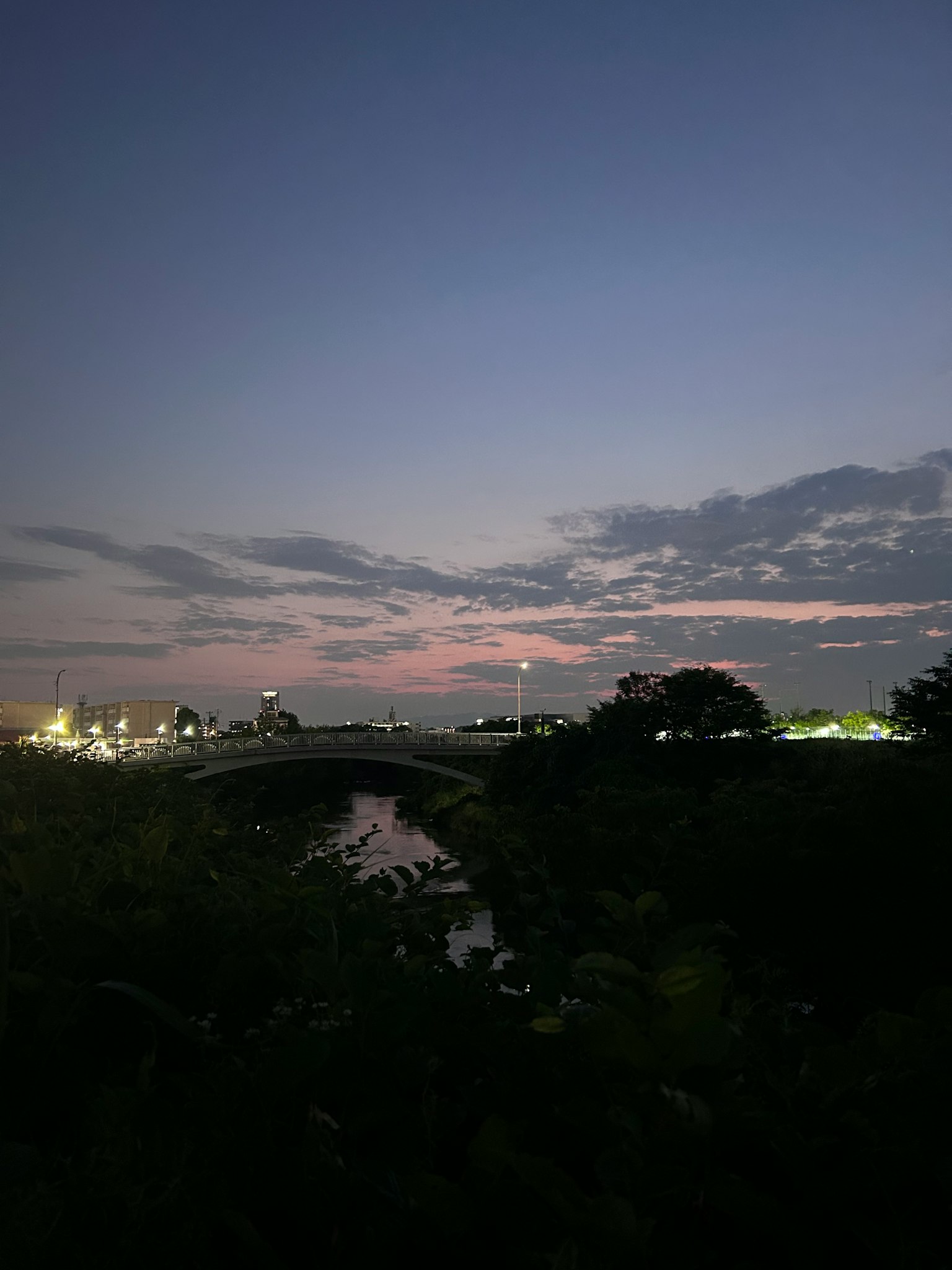 Pemandangan kota senja dengan pemandangan sungai