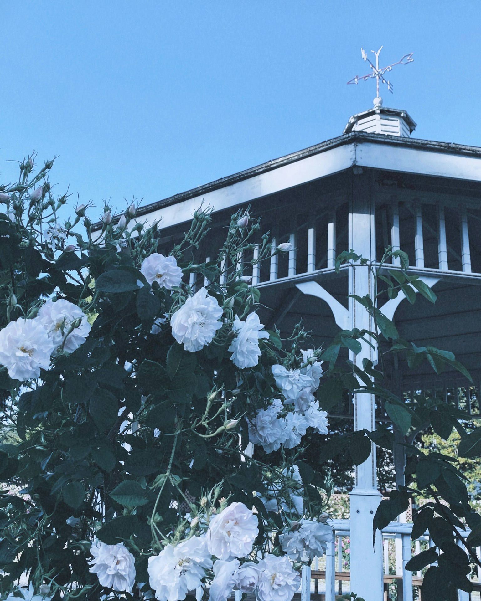 Wooden gazebo adorned with white flowers against a blue sky