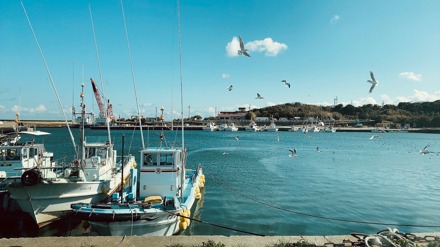 Scène de port avec des bateaux de pêche amarrés sous un ciel bleu et des mouettes volant
