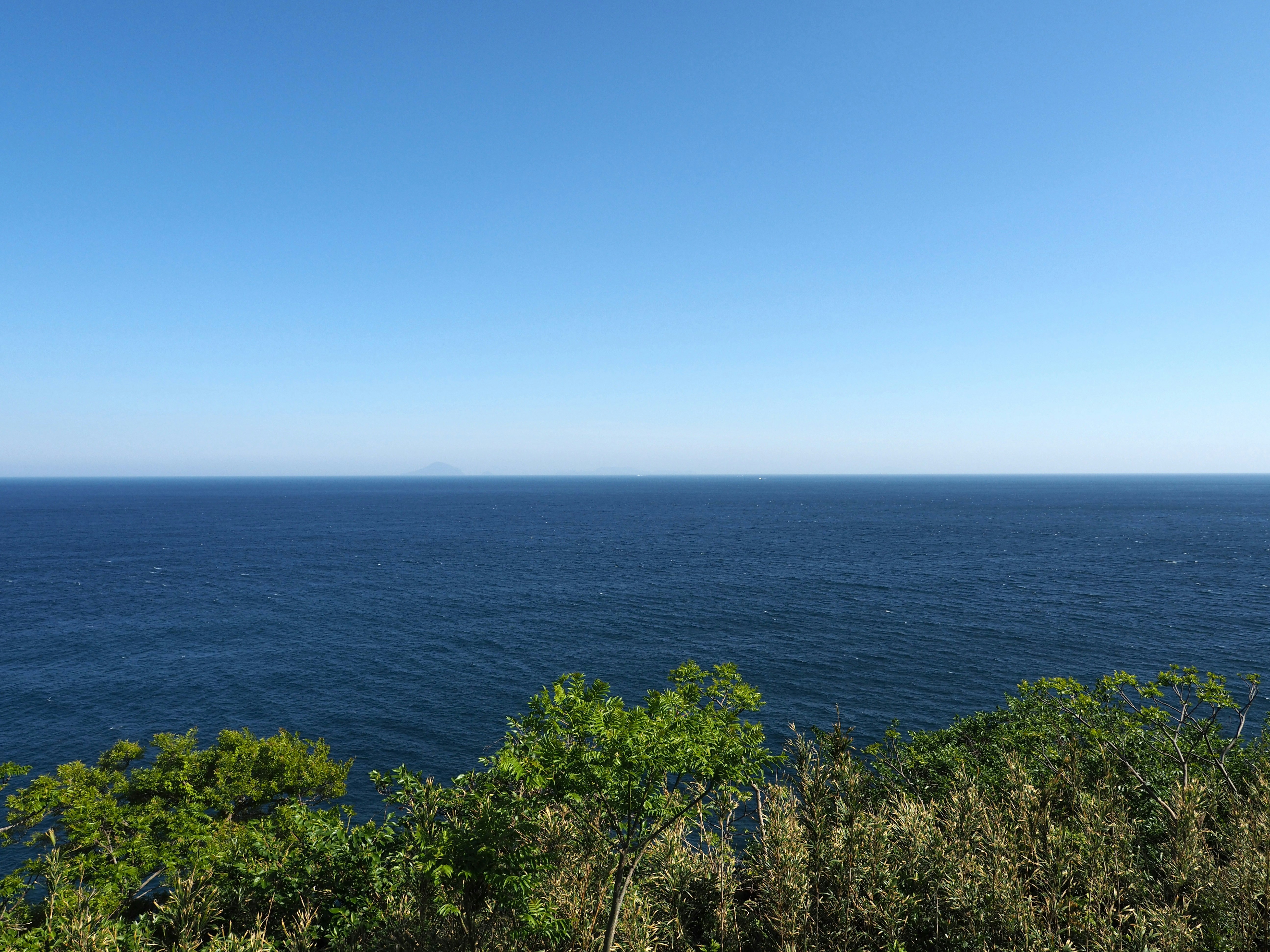 海を見下ろす断崖の緑の木々と青空の風景