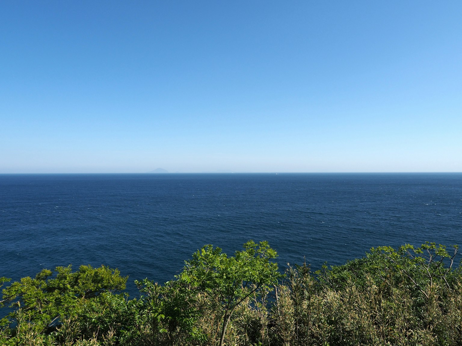 Pemandangan laut biru dan langit cerah dengan dedaunan hijau di latar depan