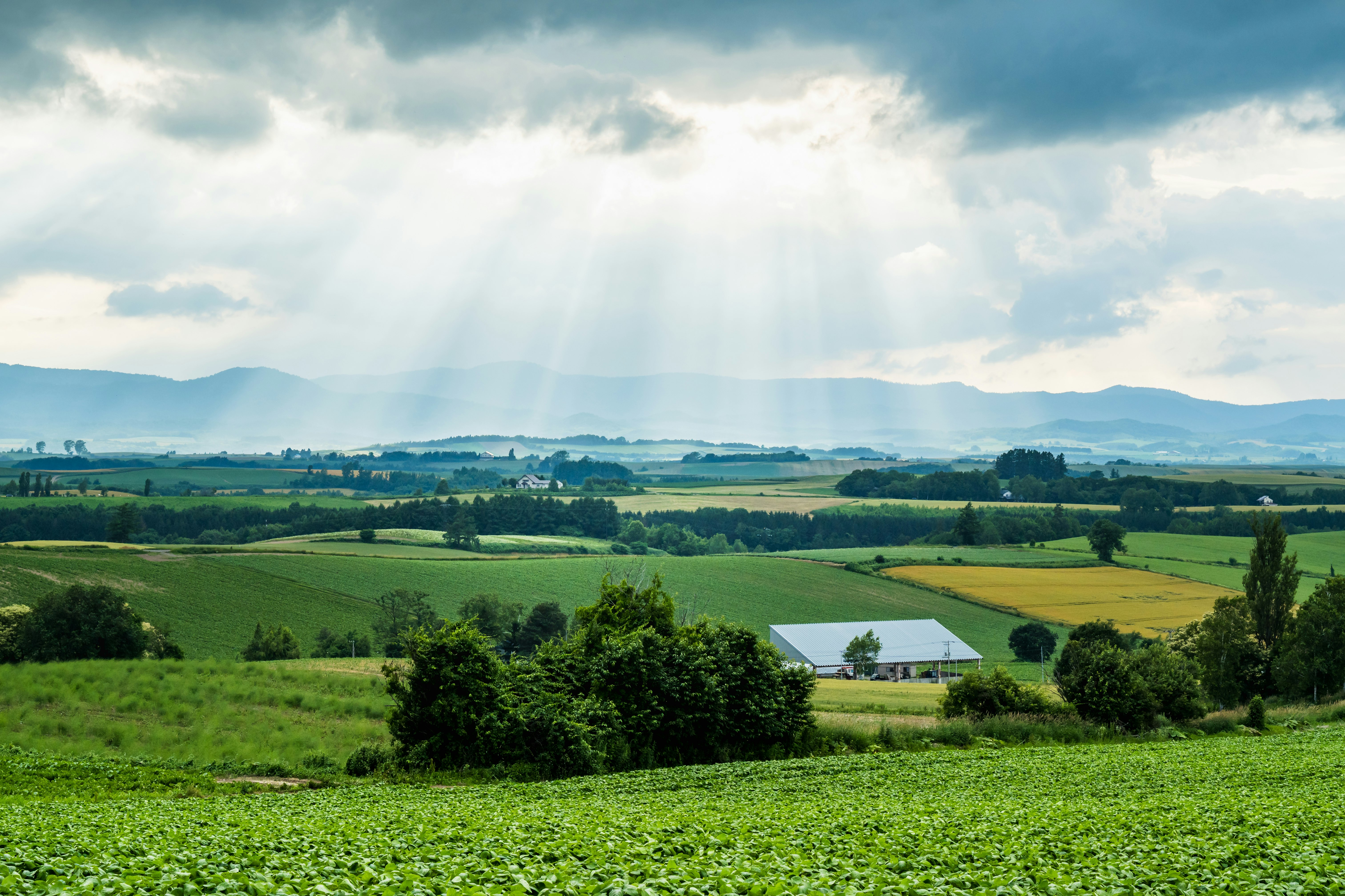 Lush green farmland with distant mountains and rays of light breaking through clouds