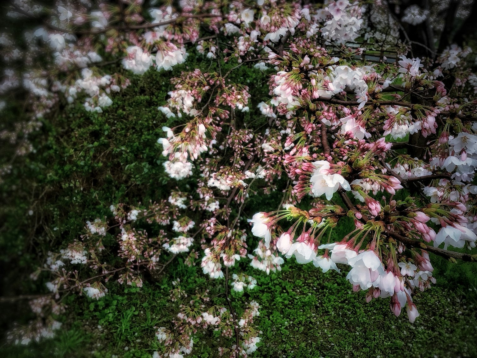 photo-12a3AmExKNDmr2OTVrYn-image