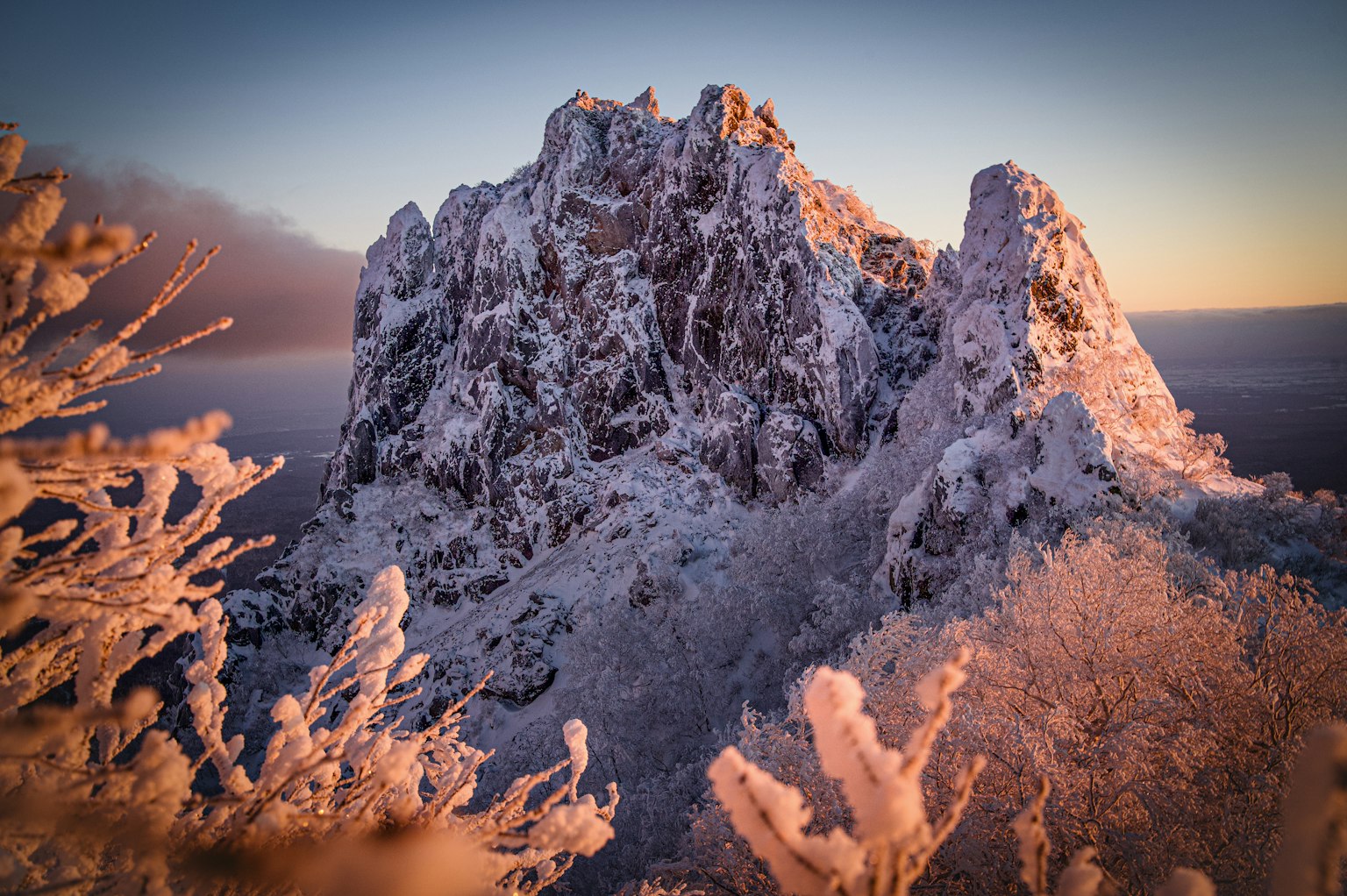 Snow-covered rocky mountain with frost-covered trees