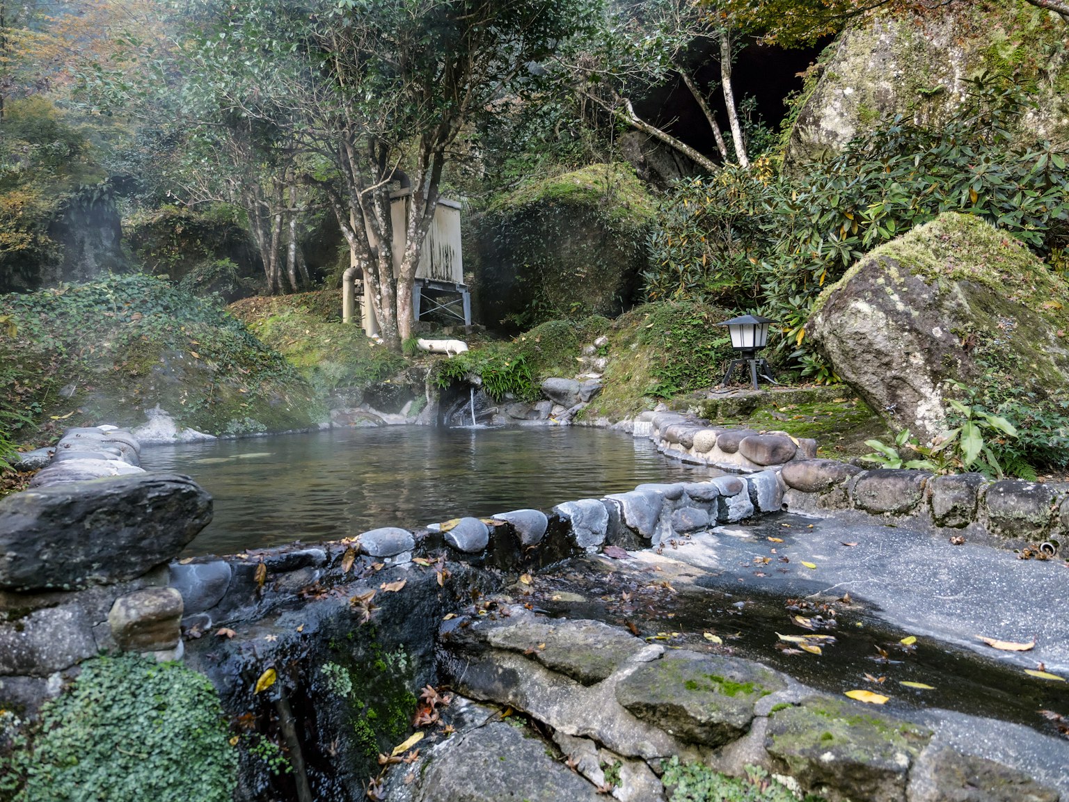 Vista panoramica di una sorgente termale con rocce e vegetazione, vapore che si alza in un ambiente naturale