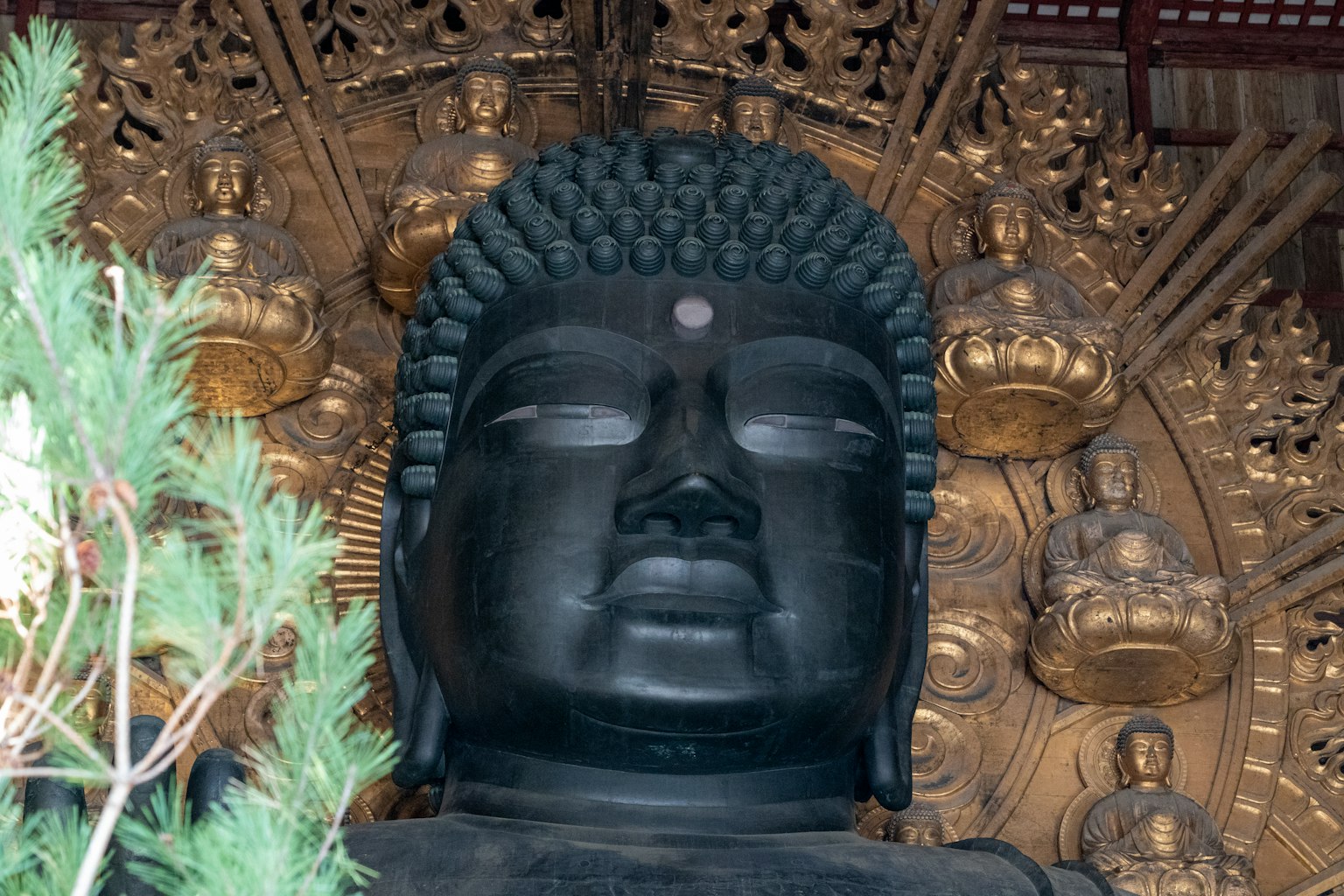 Statue de Bouddha noire avec un fond doré complexe