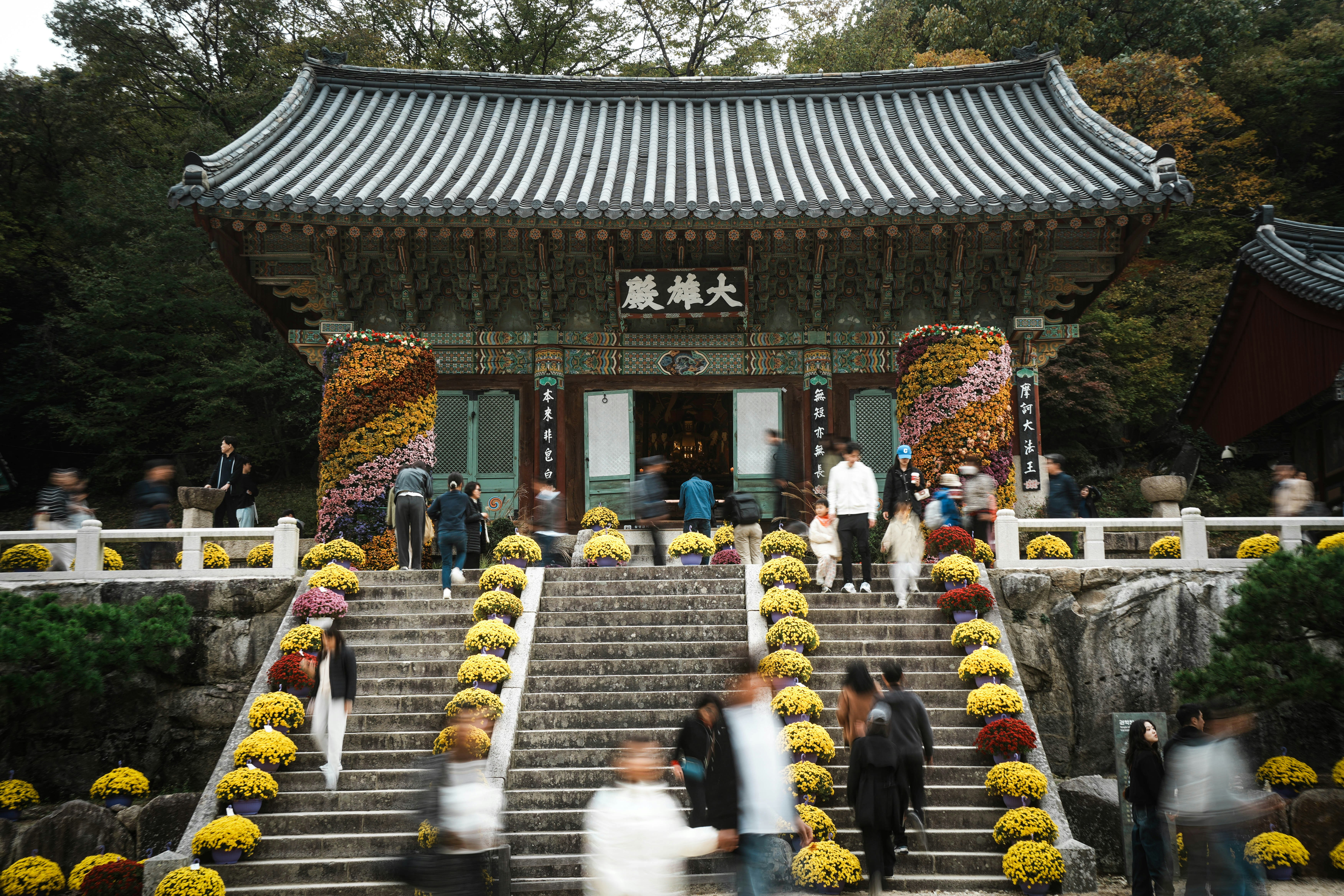 階段の両側に菊が咲く寺院の山門前の参道