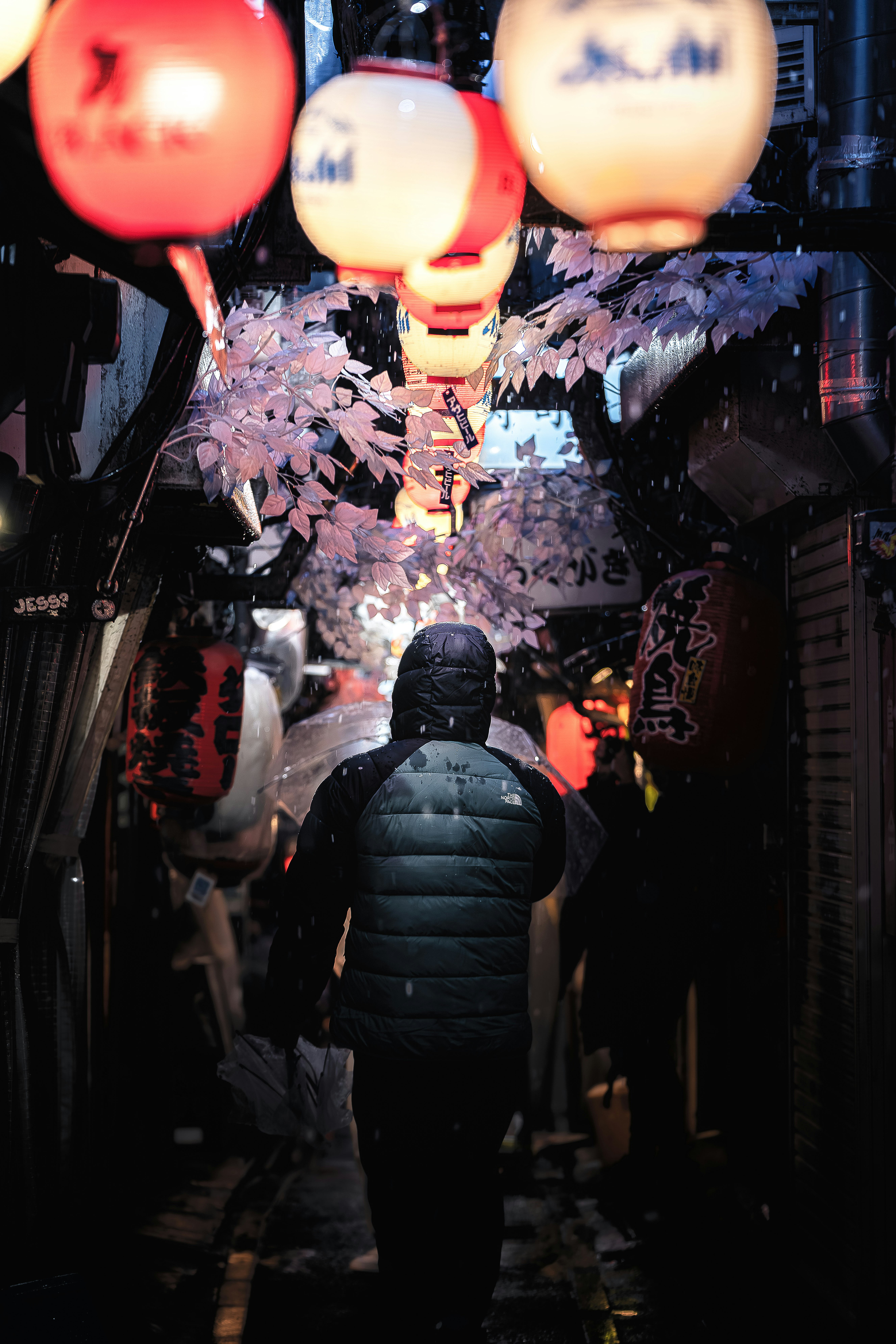 提灯と桜の装飾が並ぶ夜の路地