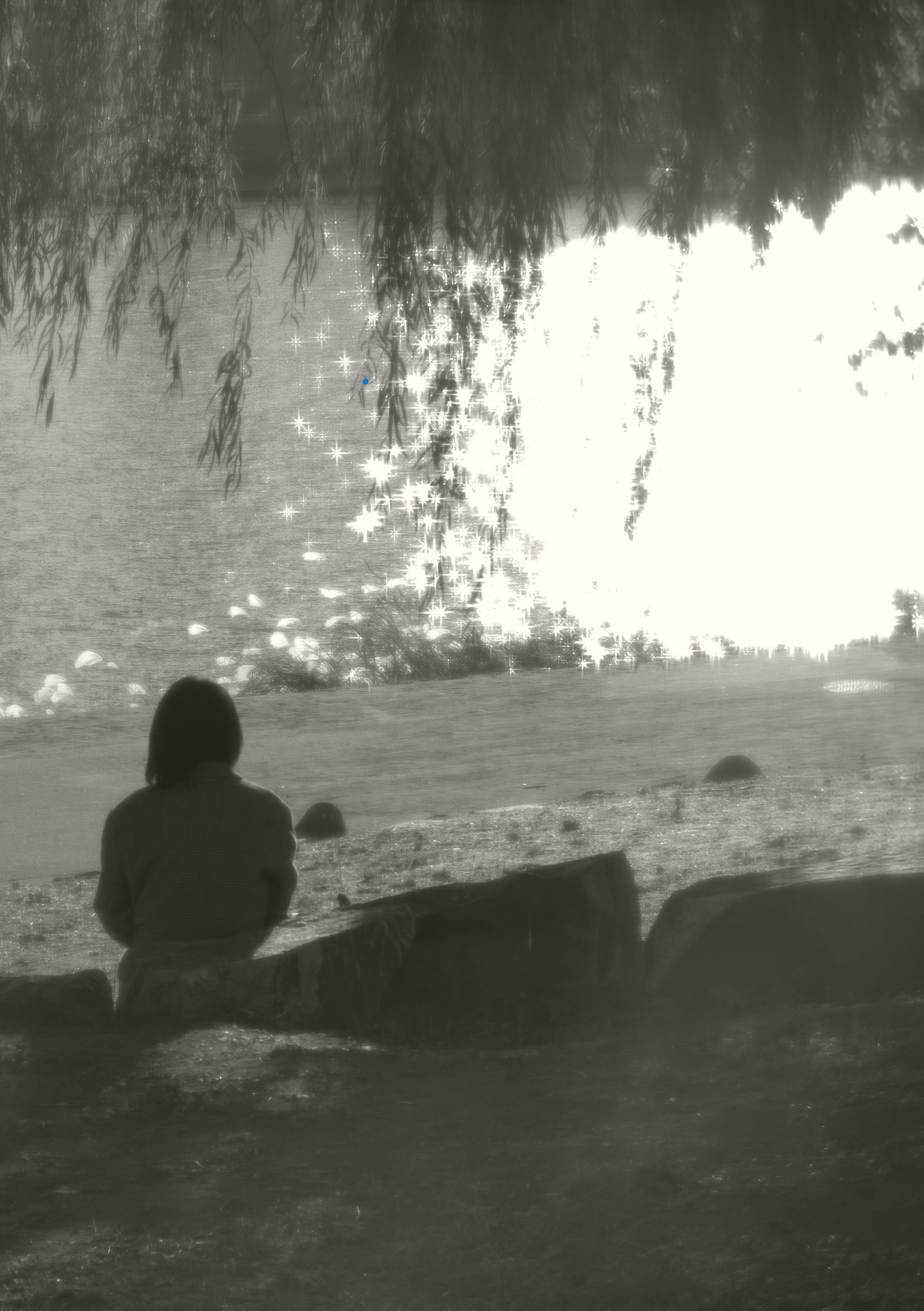 Eine Person sitzt auf einer Bank am See und liest ein Buch