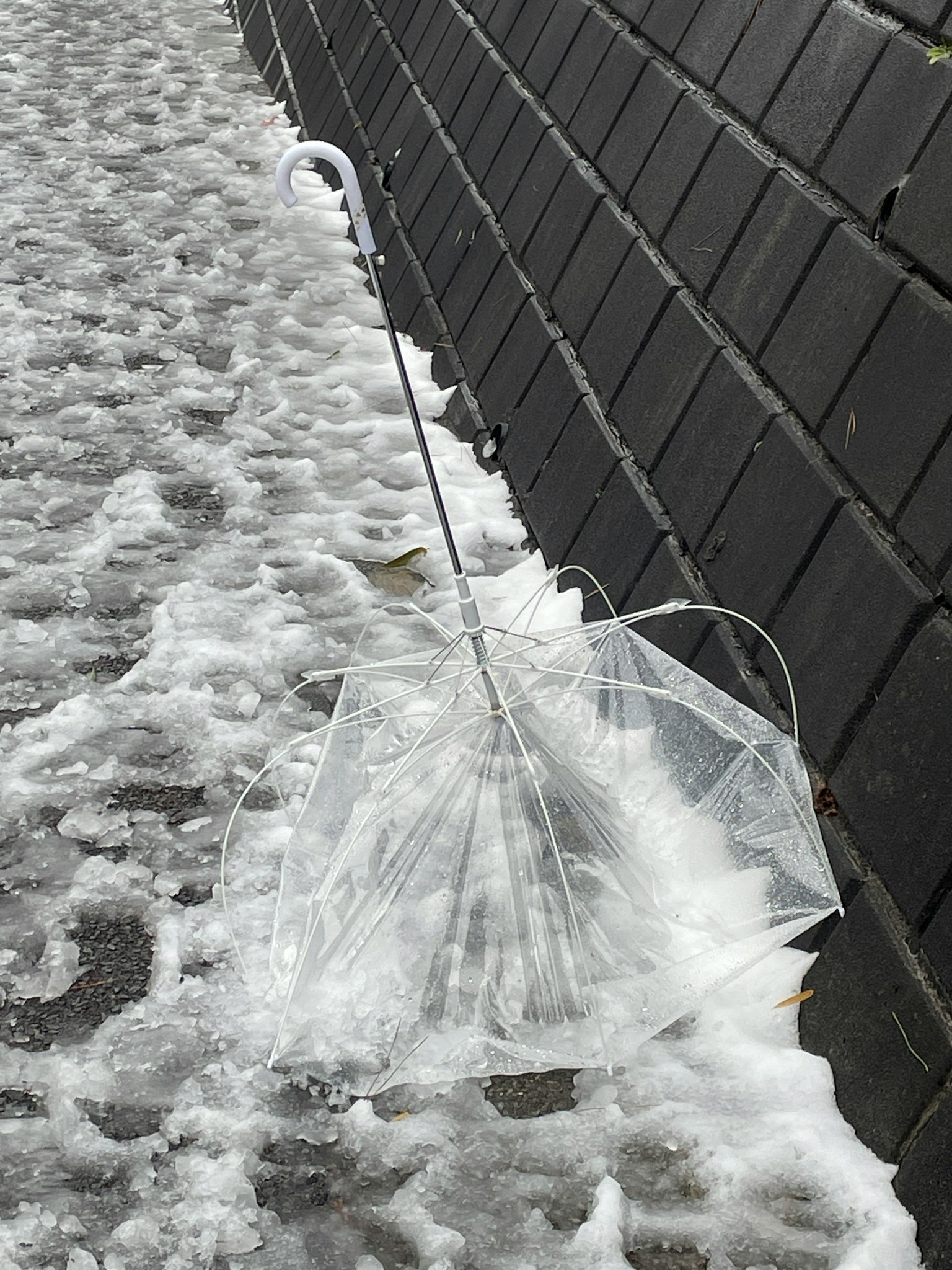 透明雨伞放在雪上，旁边是一面黑墙