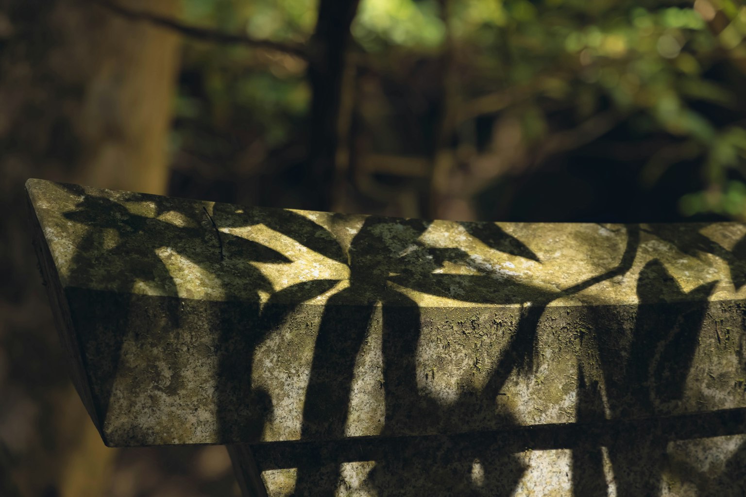 Nahaufnahme einer Steinbank mit geworfenen Blattschatten