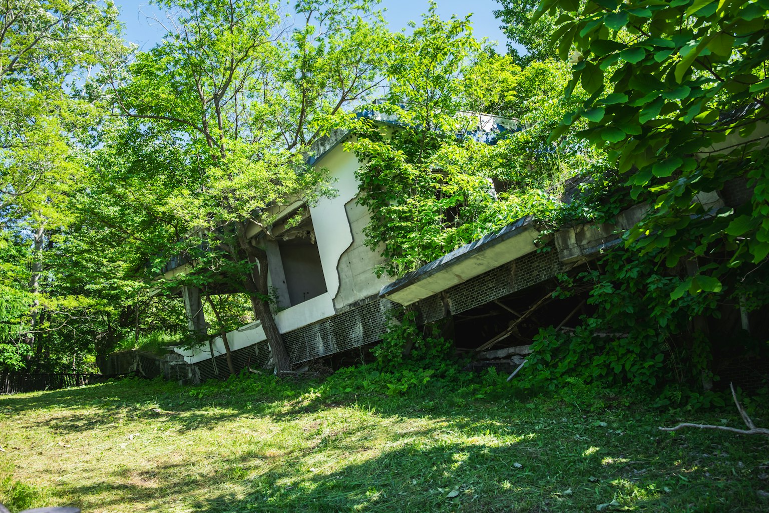 photo-14mItf41geqMYRFnIRoP-image