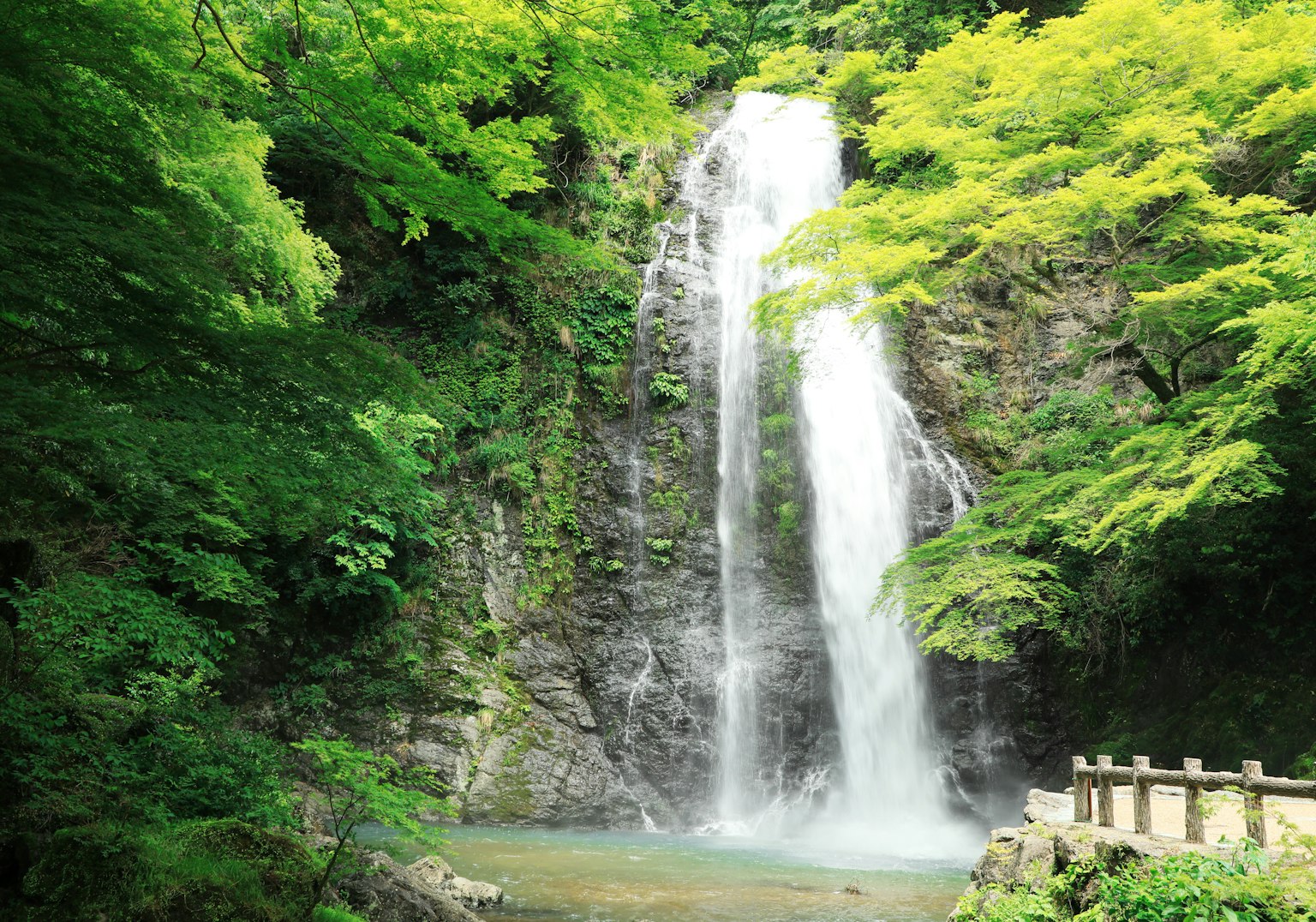 Una bella cascata circondata da una lussureggiante vegetazione