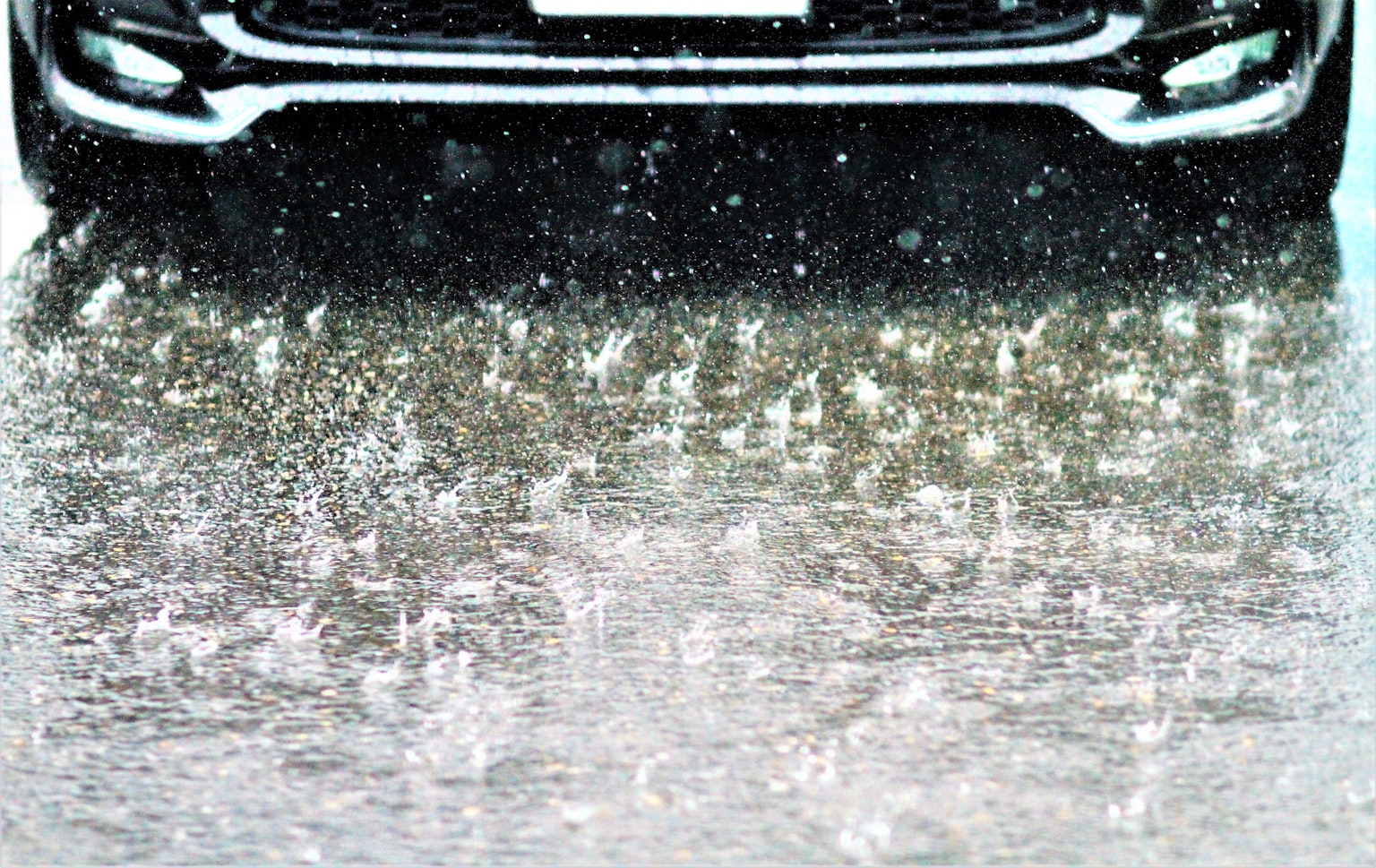 photo-156c4AtOaXjSJhDMNoN2-image