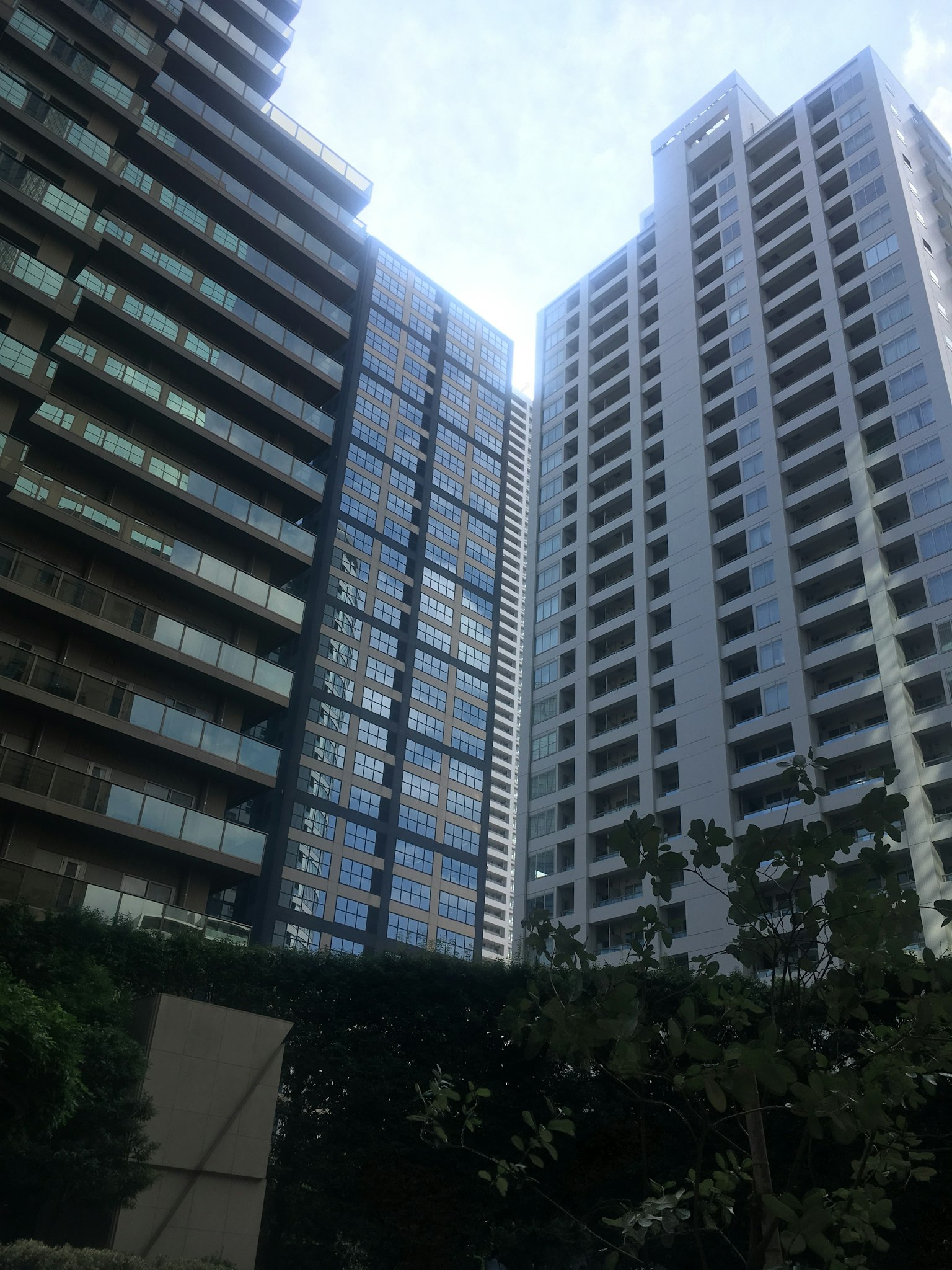 Paisaje urbano con rascacielos, fachada de vidrio a la izquierda y exterior blanco a la derecha, vegetación visible abajo