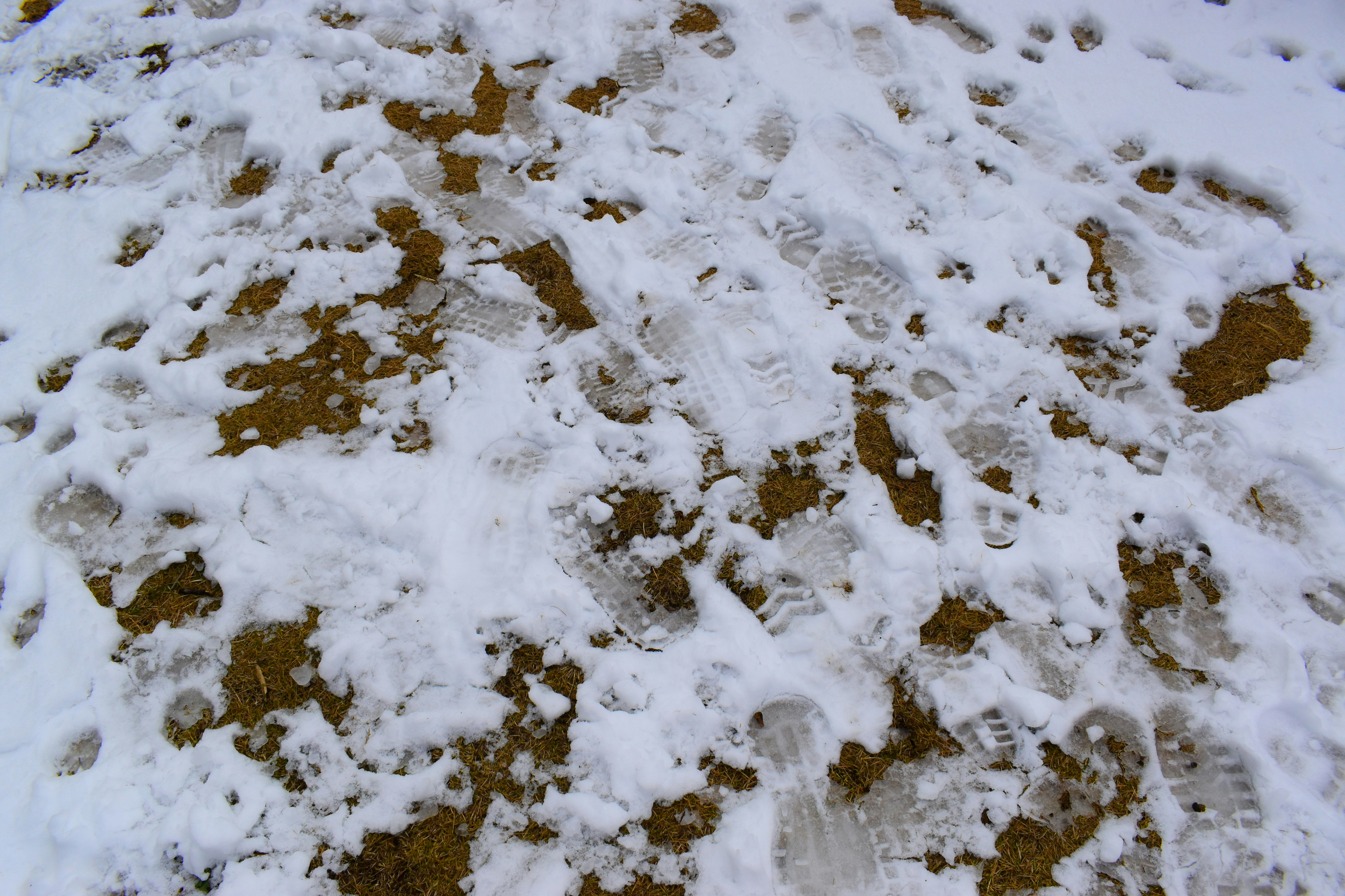 雪の上に残る足跡のある地面