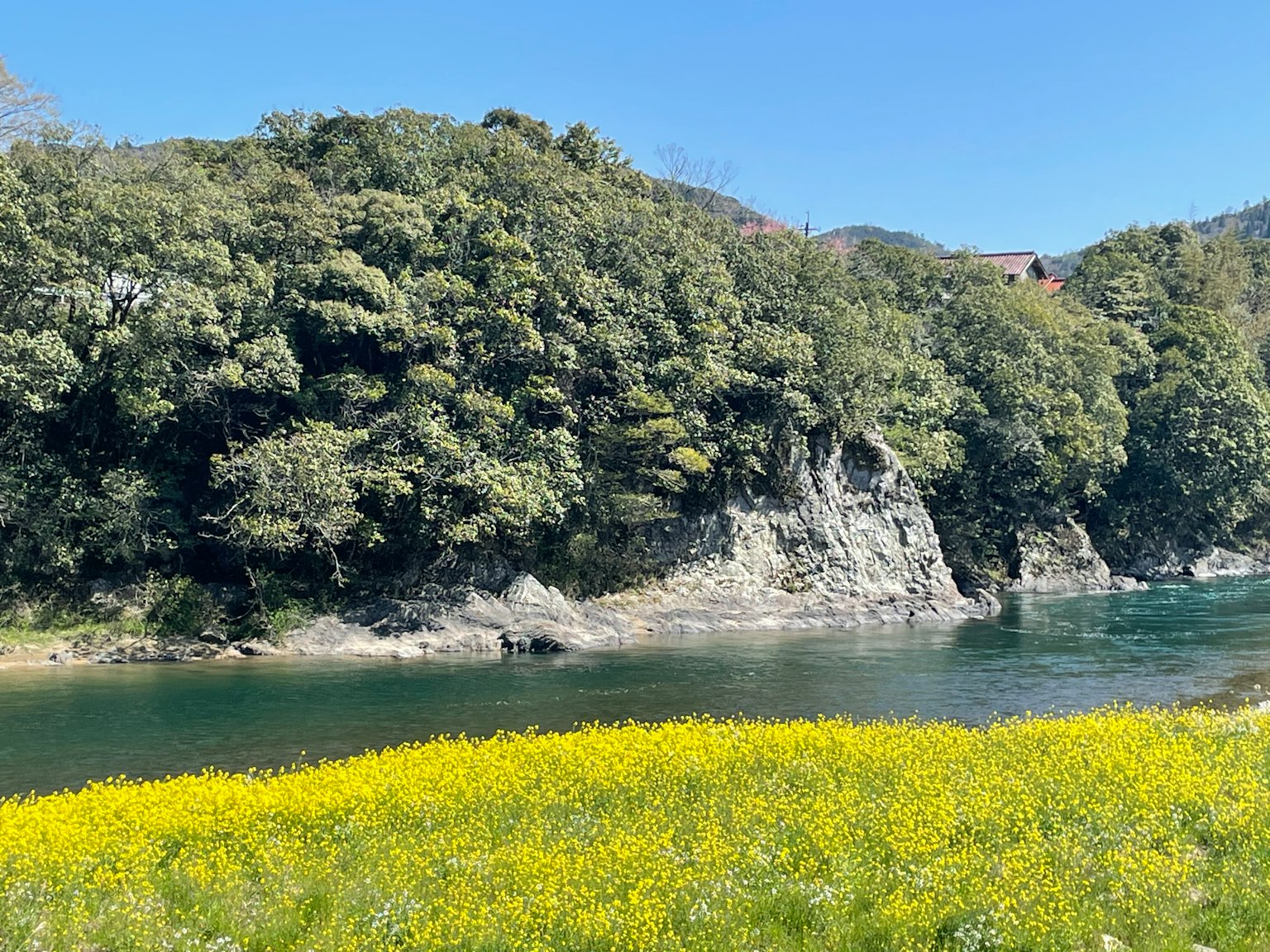 Malersicher Blick auf einen Fluss, umgeben von üppigen grünen Bäumen und einem Feld mit gelben Blumen unter einem klaren blauen Himmel