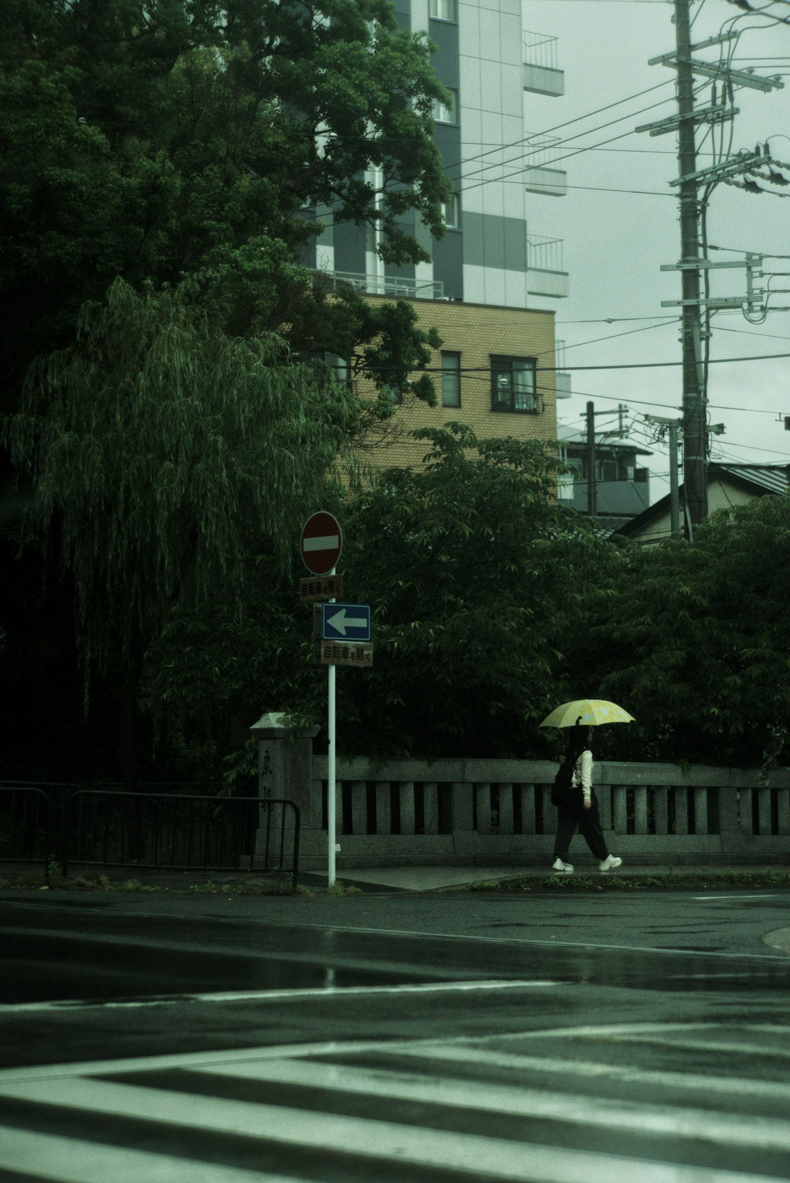 Une personne marchant avec un parapluie sous la pluie près d'un coin de ville avec de la verdure