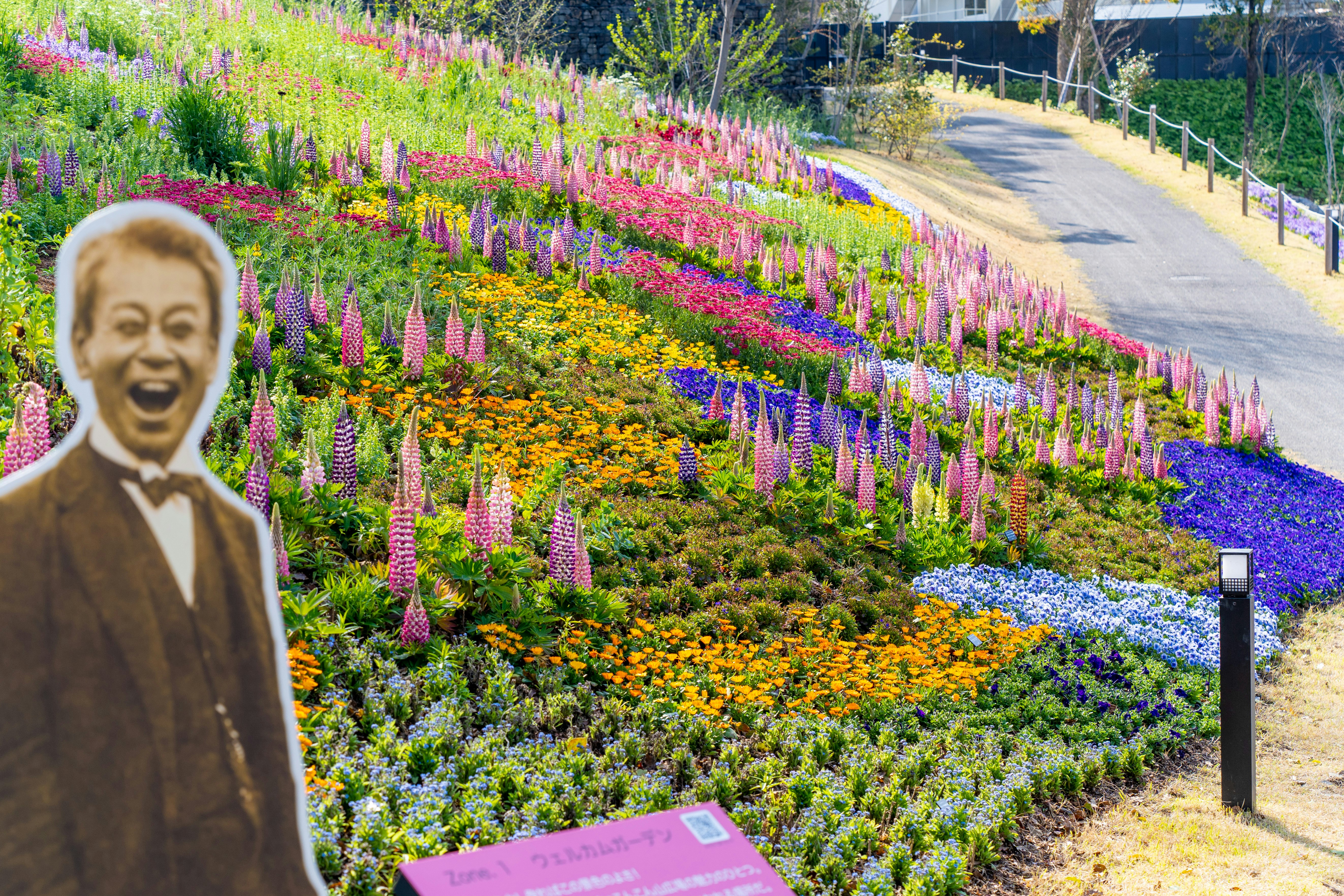 色とりどりの花畑の小道と人物の立像