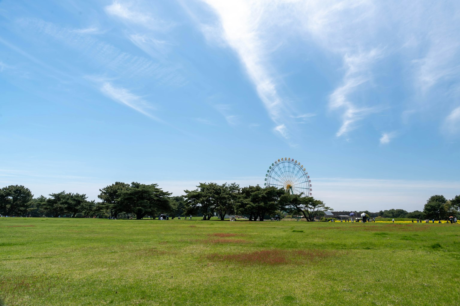 Green park with a ferris wheel under a blue sky and clouds