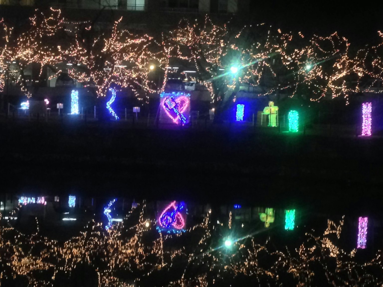 Bunte Neonlichter und beleuchtete Äste, die sich auf der Wasseroberfläche spiegeln