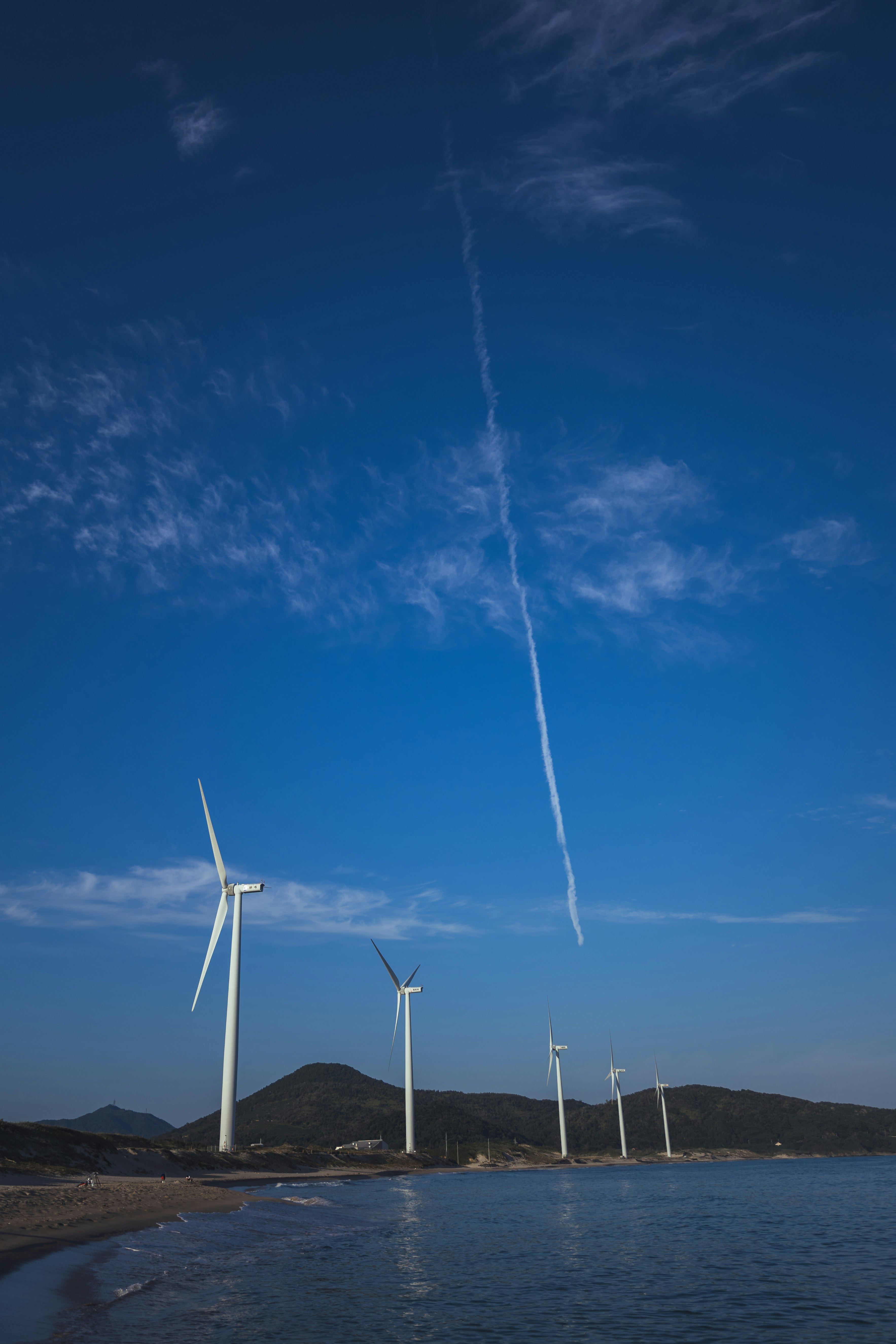 海沿いに並ぶ風力発電の風車と青空