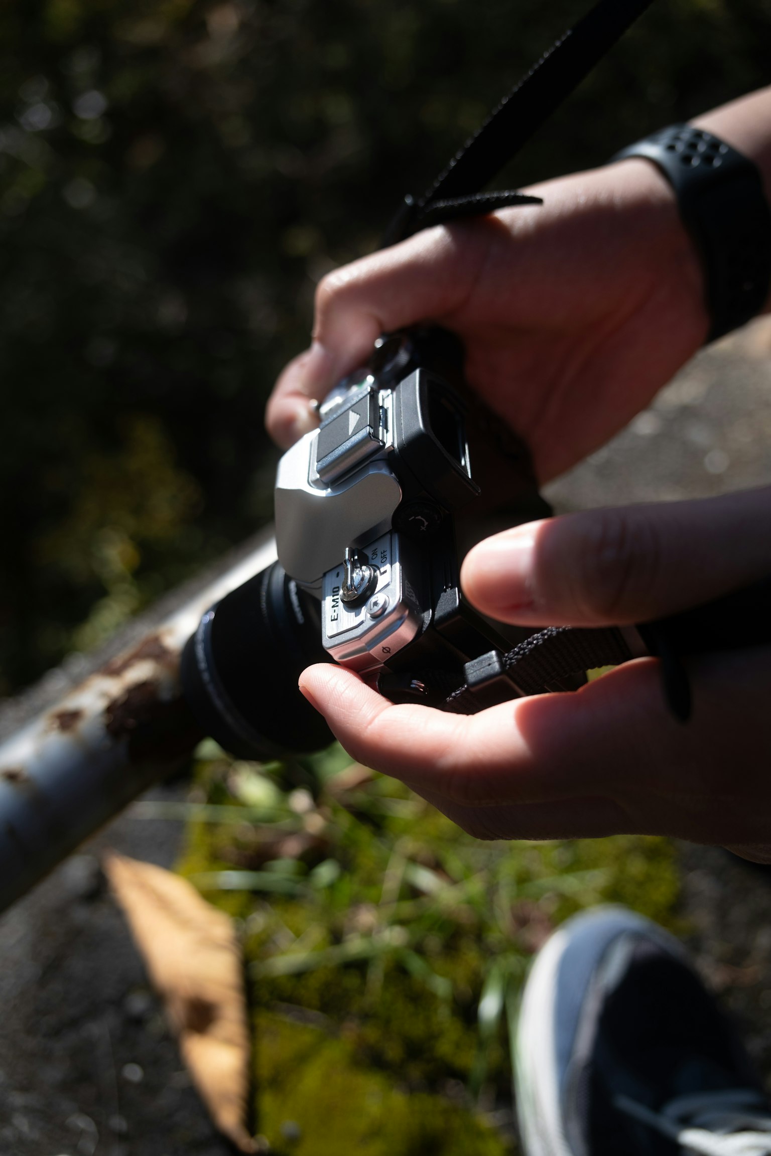 Nahaufnahme von Händen, die eine Kamera halten, mit grünem Hintergrund