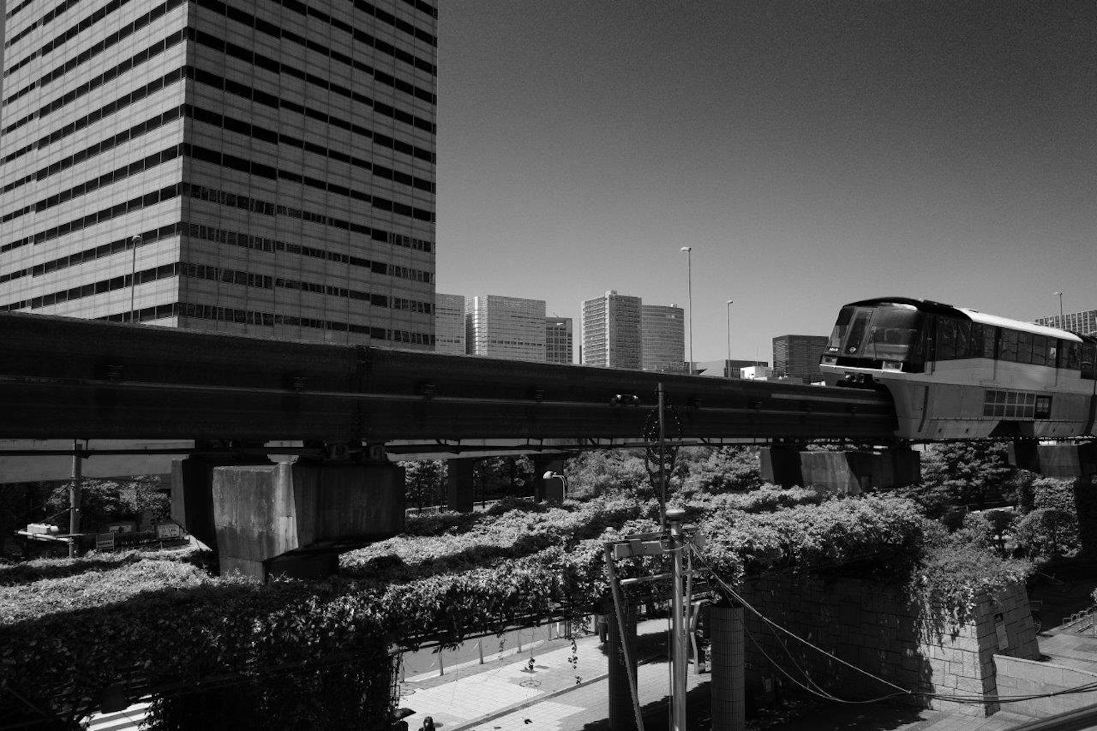 Stadtansicht mit einer Einschienenbahn, die an hohen Gebäuden und Grünflächen vorbeifährt