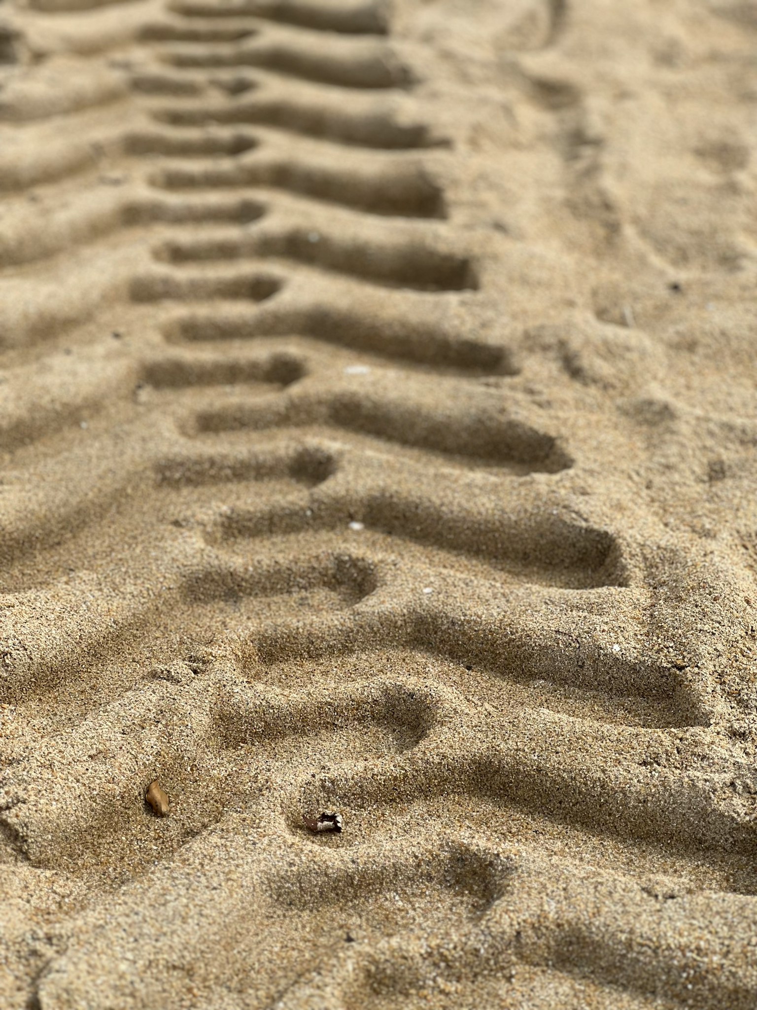 Close-up of tire tracks on sandy beach
