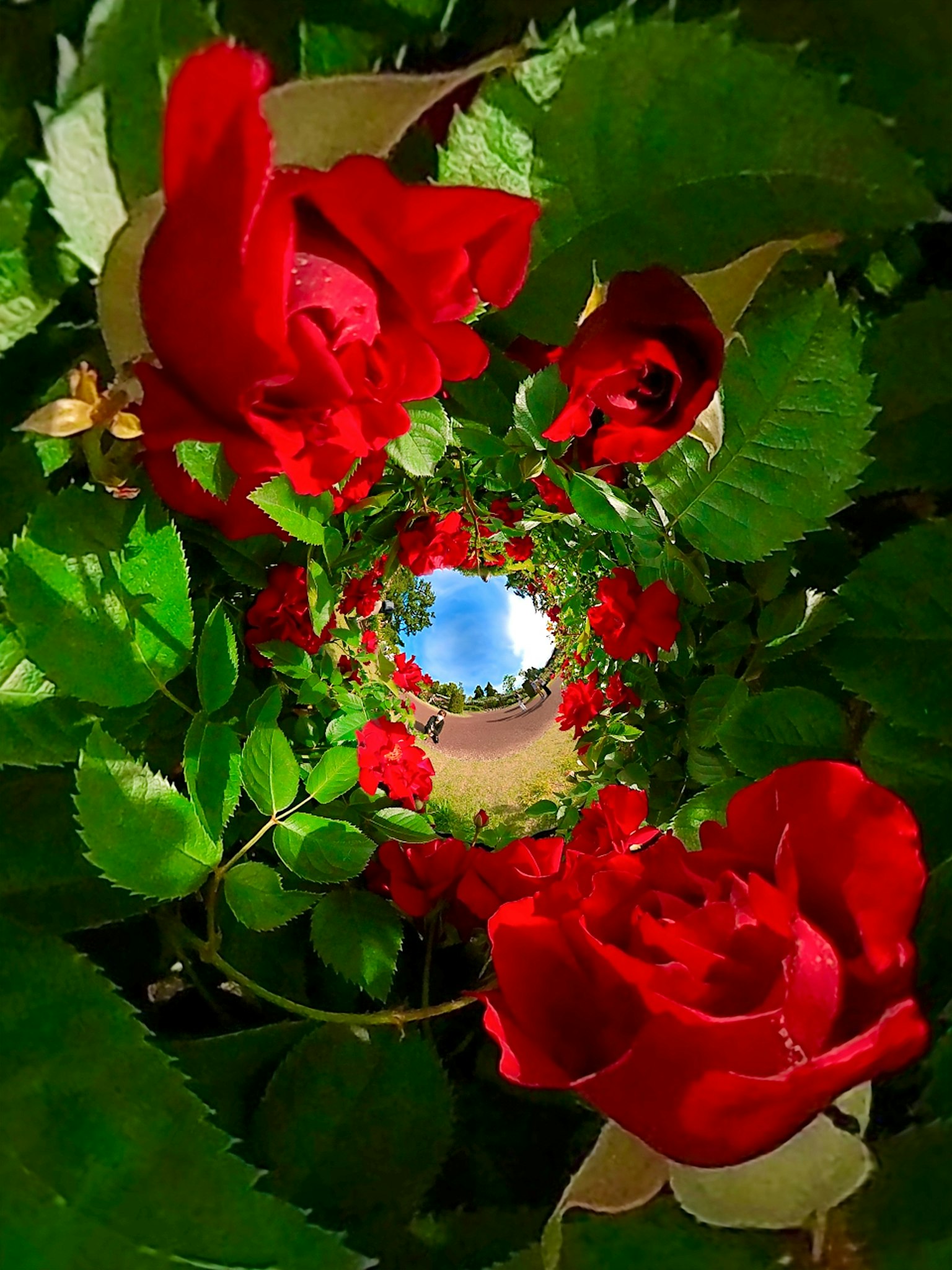 photo-17G8dwCdIRY1i9VY4ka7-image