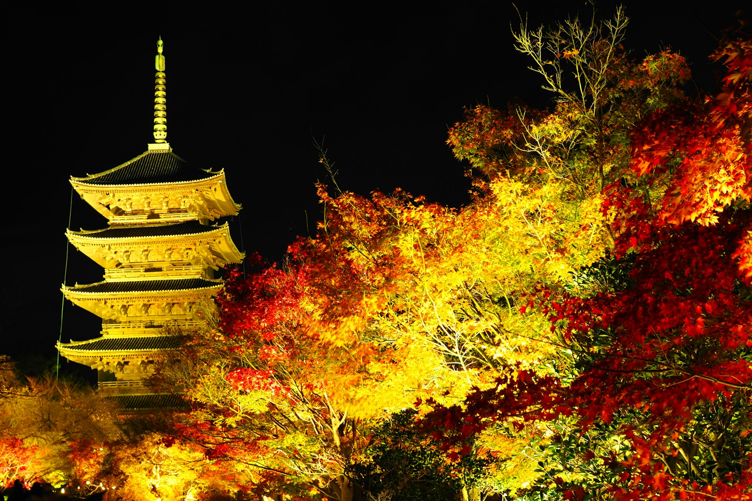 Pagoda iluminada por la noche rodeada de vibrantes hojas de otoño