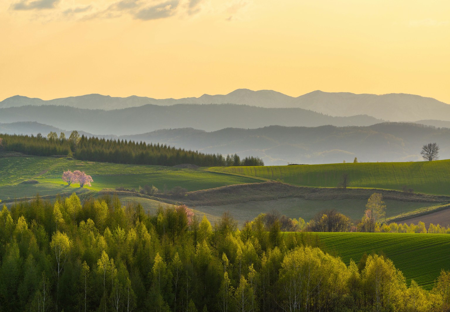 Paesaggio panoramico al tramonto con colline verdi e silhouette di montagne