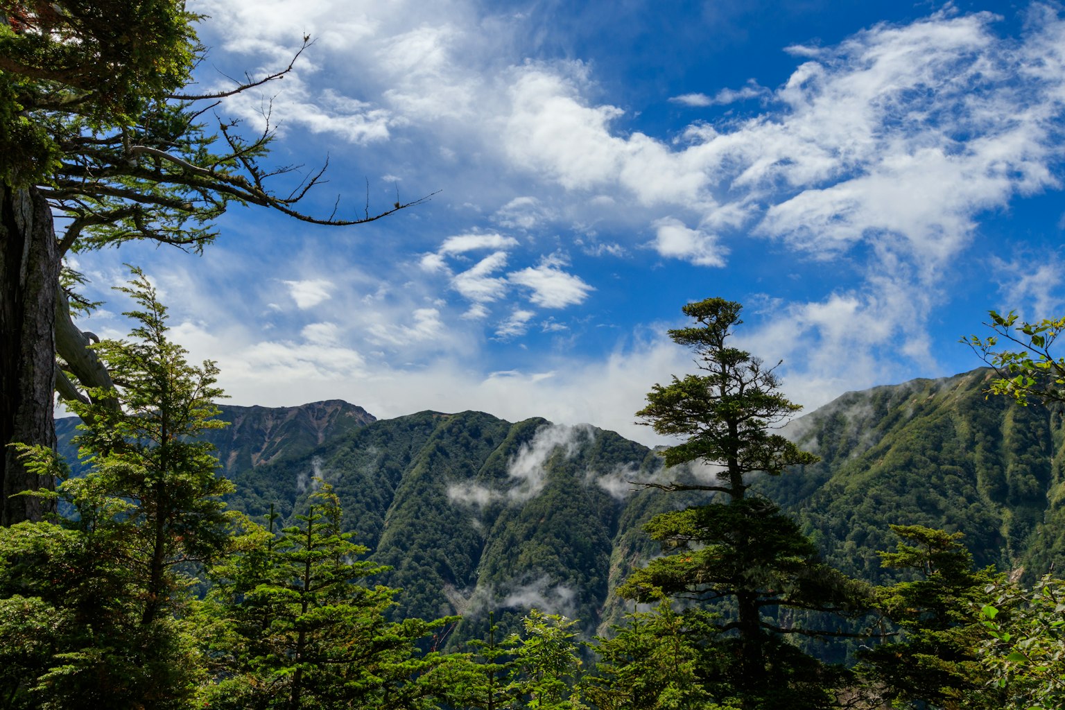 郁郁葱葱的山脉在蓝天和白云下的风景
