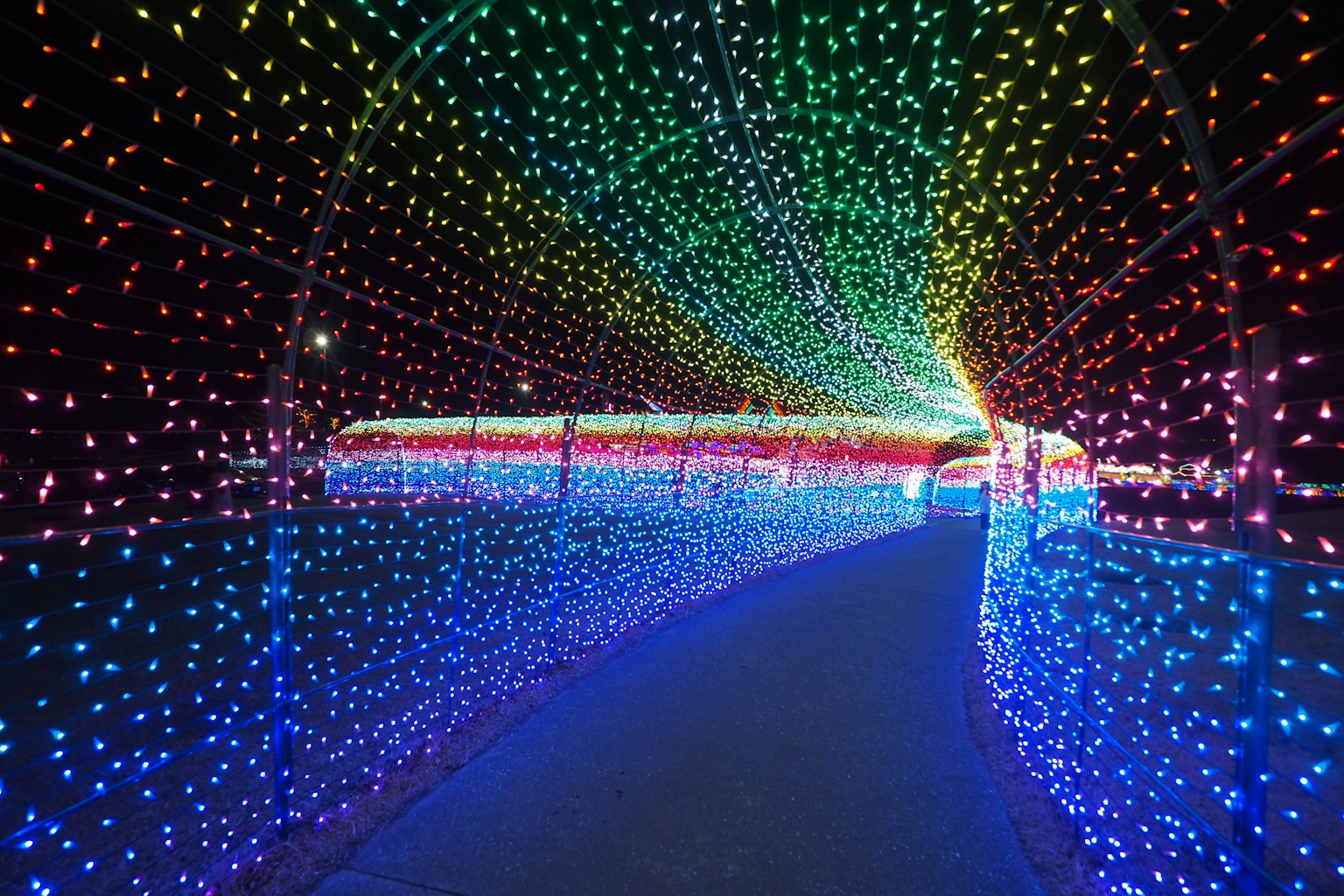 อุโมงค์ไฟที่มีสีสันโค้งผ่านการแสดงที่มีชีวิตชีวา