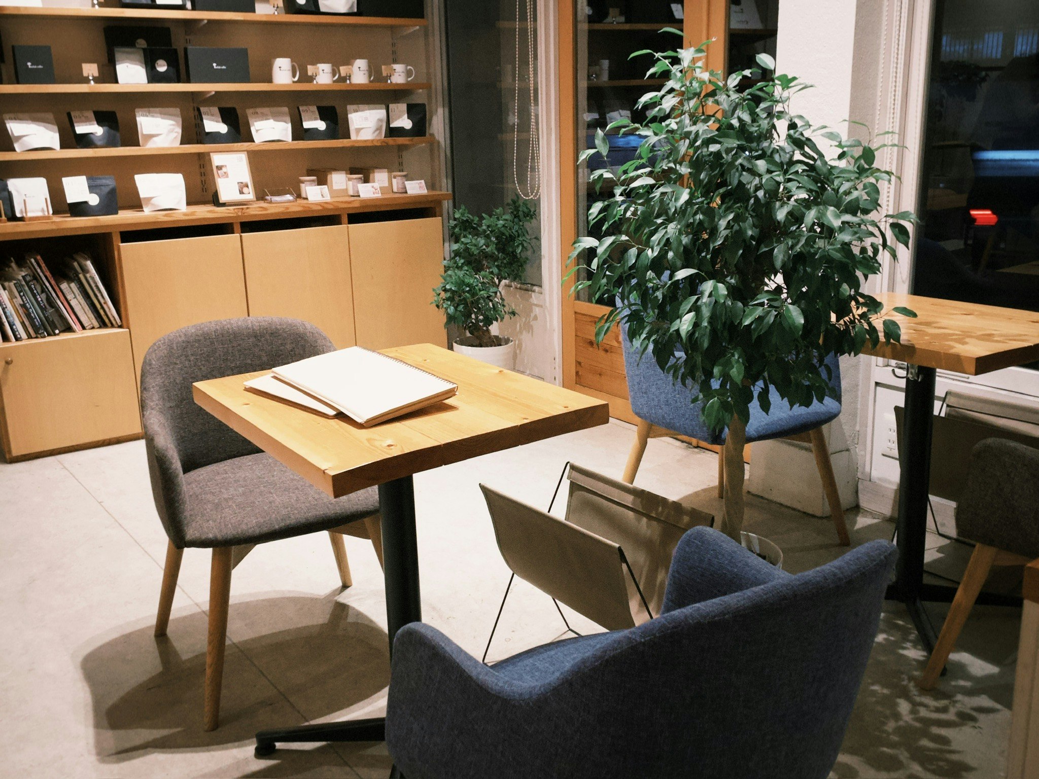 観葉植物のある書店の落ち着いた読書スペース