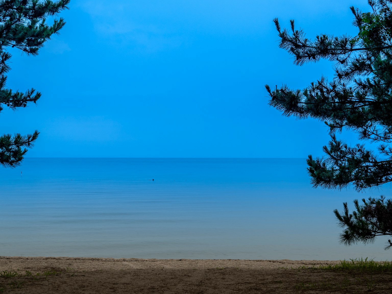 Pemandangan laut tenang dan langit biru dengan siluet tanaman di kedua sisi