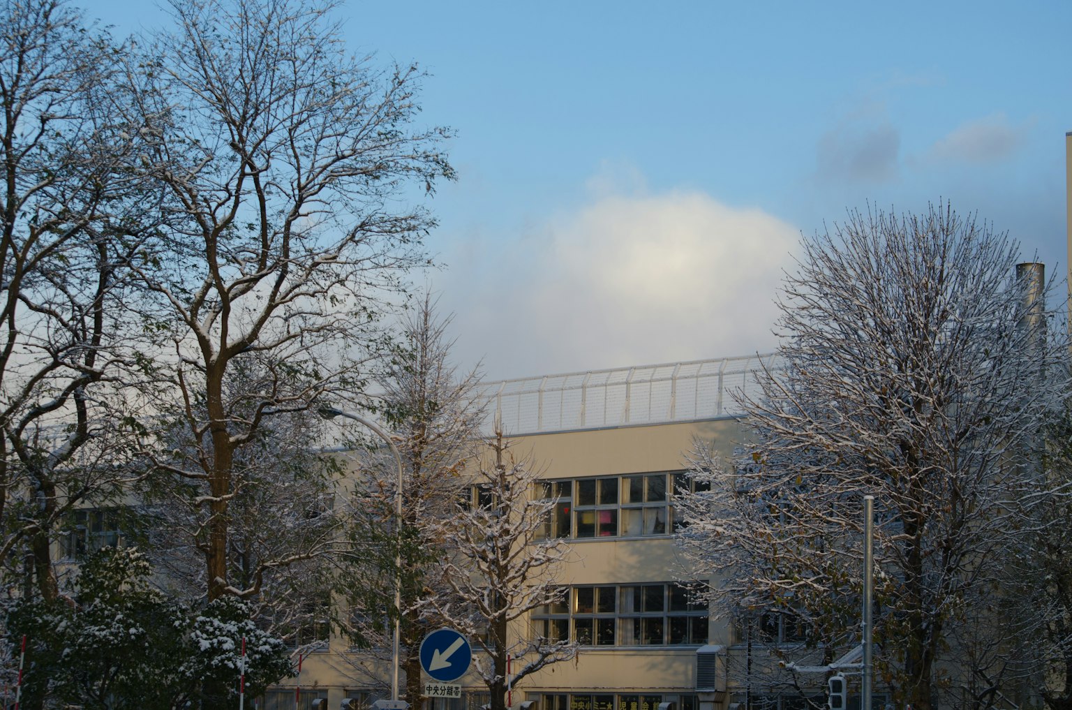 Winter scene with snow-covered trees and a building under a blue sky