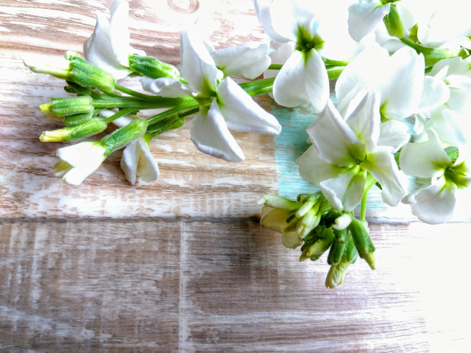 Weiße Blumen mit grünen Stielen auf einem Holztisch angeordnet