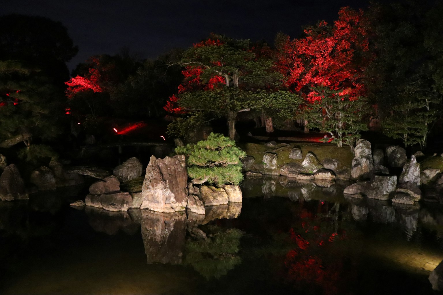 Kolam tenang di taman Jepang yang diterangi lampu merah di malam hari
