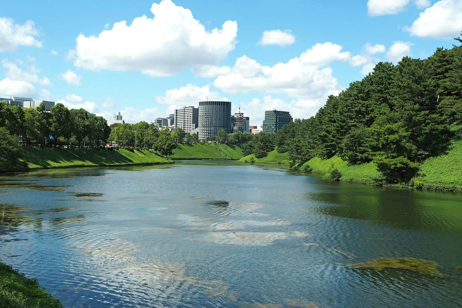 Un lago tranquillo circondato da vegetazione lussureggiante e edifici moderni sotto un cielo azzurro
