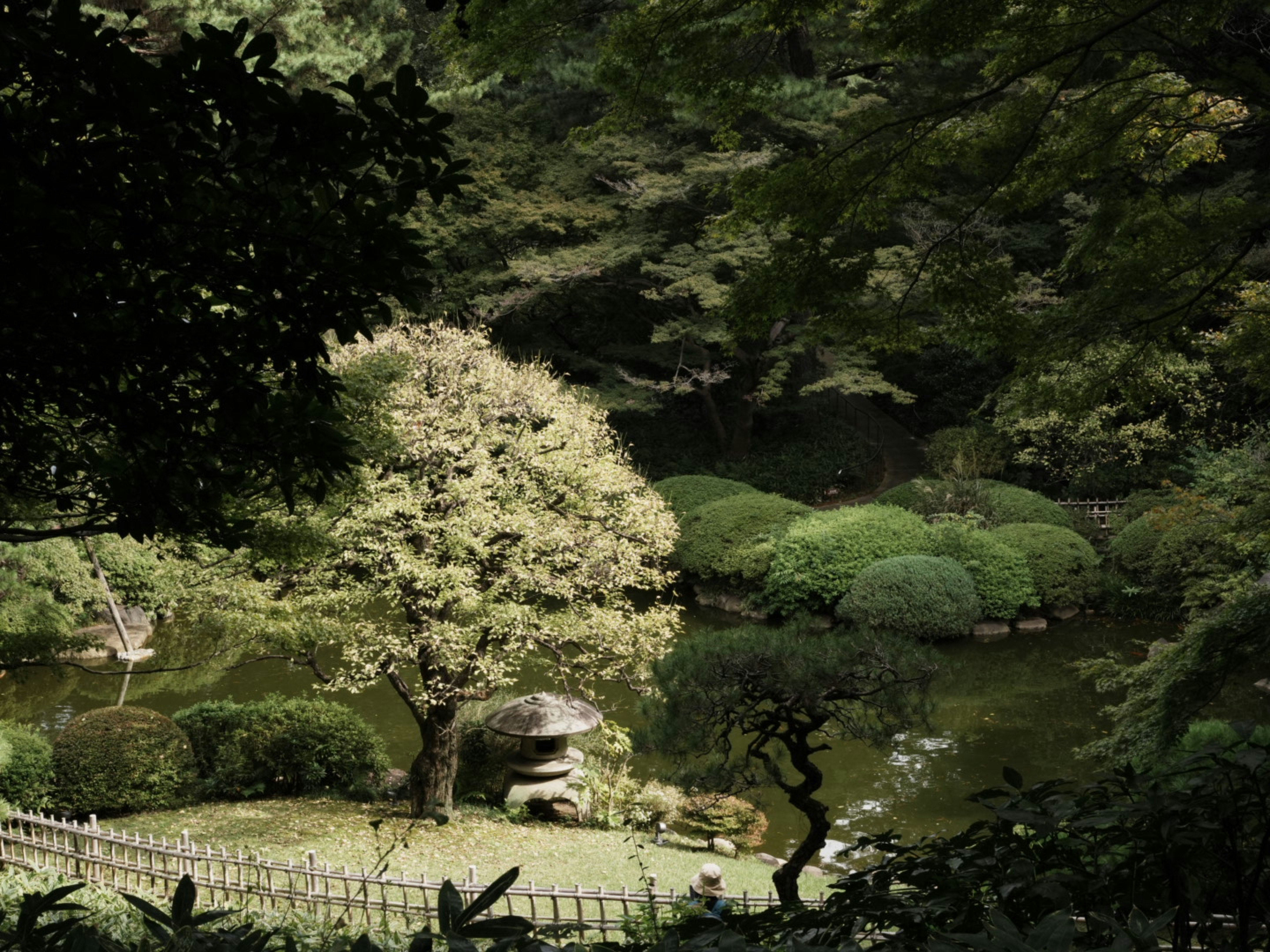 photo-1BiBBjgOZM2LuT2NZXdR-image
