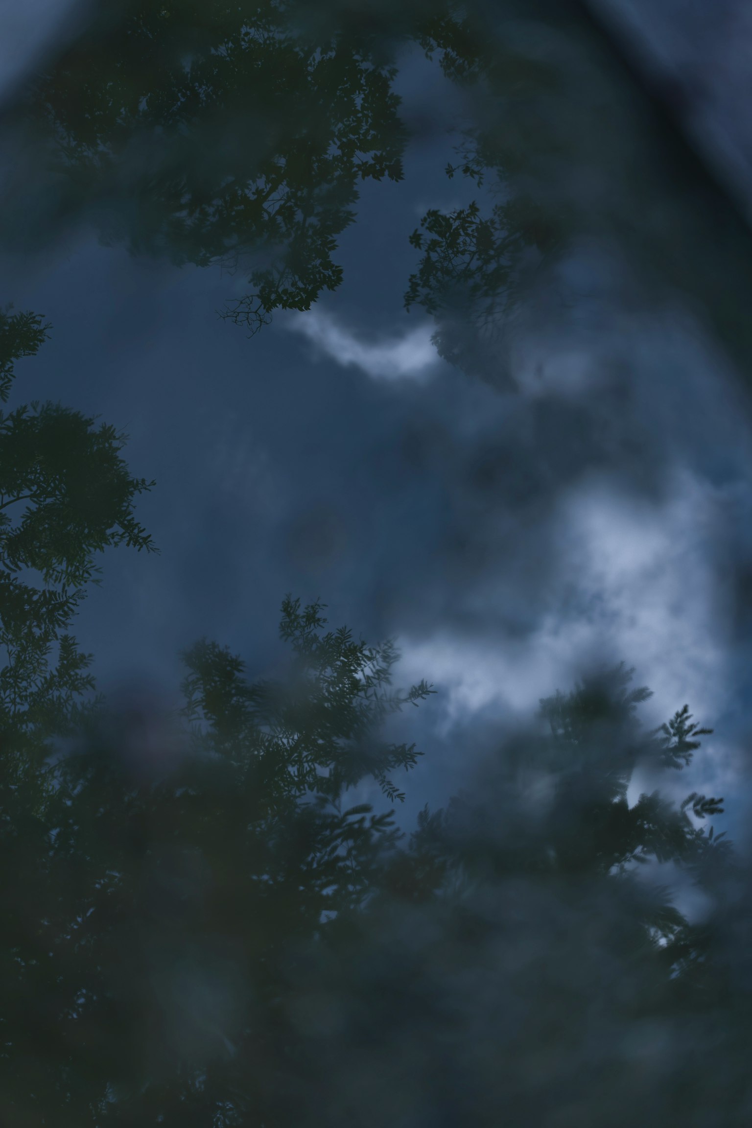 Riflesso di alberi e nuvole su una superficie d'acqua scura