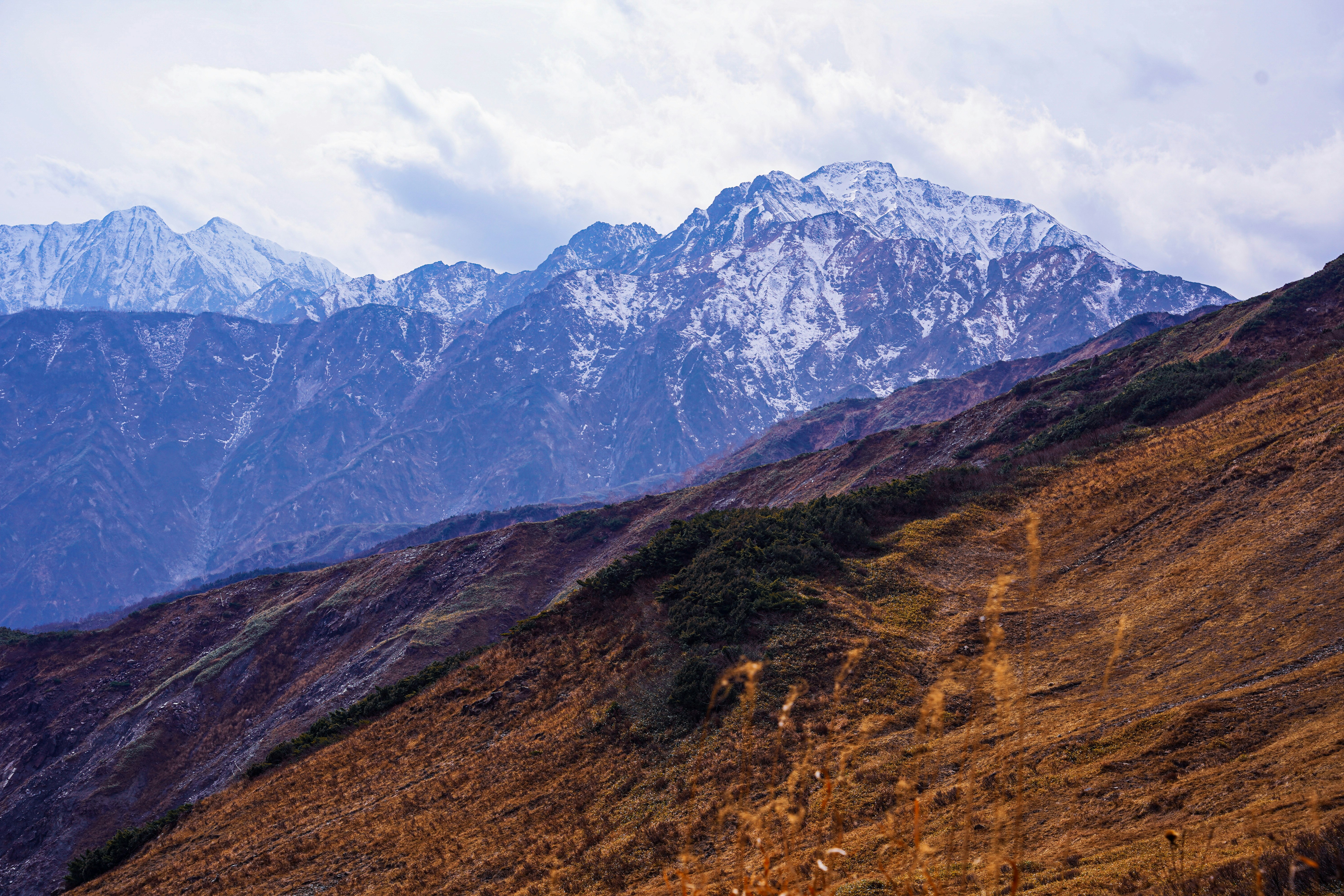 起伏のある山稜と広がる草地の山岳風景