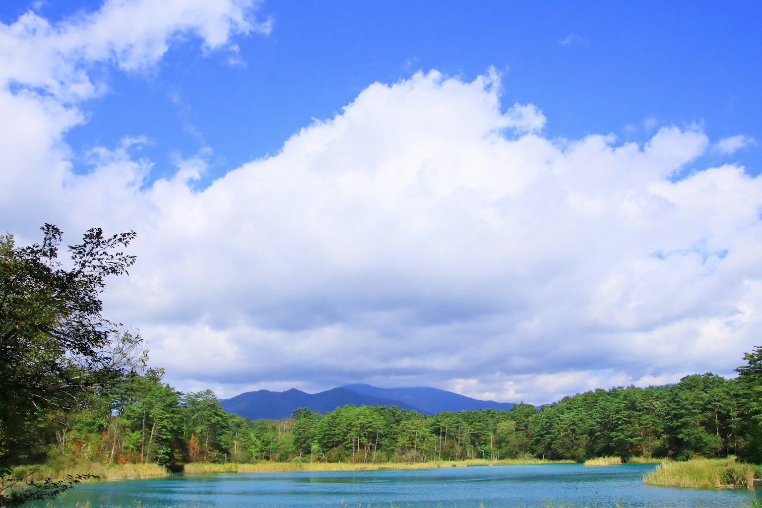 Vista panoramica di un lago blu circondato da verde lussureggiante e montagne