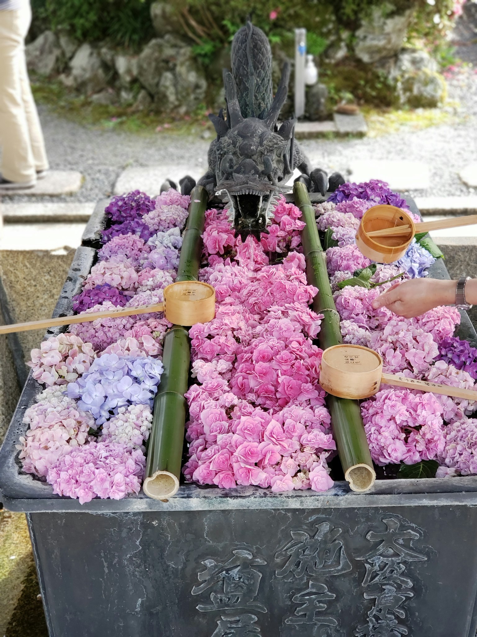 五顏六色的花漂浮在水池中，旁邊有竹勺